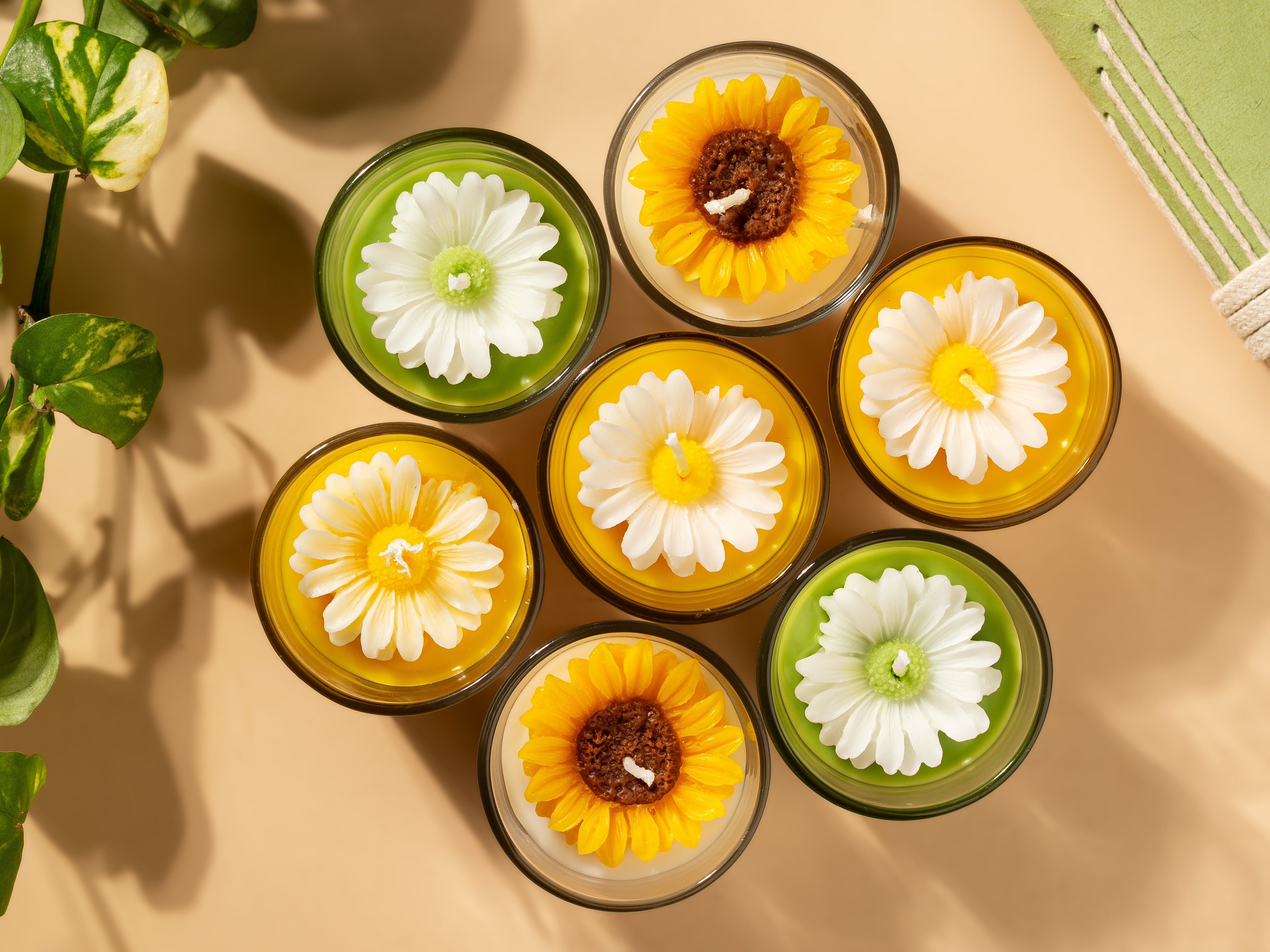 Set of 2 Daisy Shot Jar Soy Wax Candles – Uplifting Lemongrass