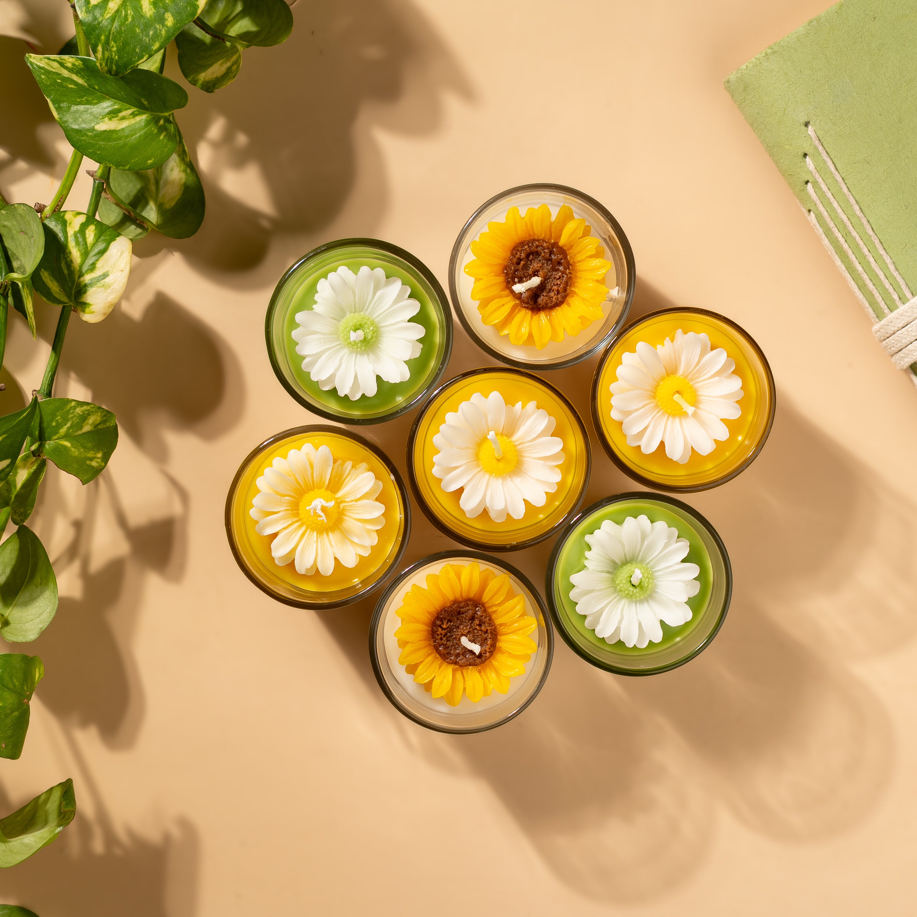 Set of 2 Sunflower Shot Jar Soy Wax Candles – Jasmine