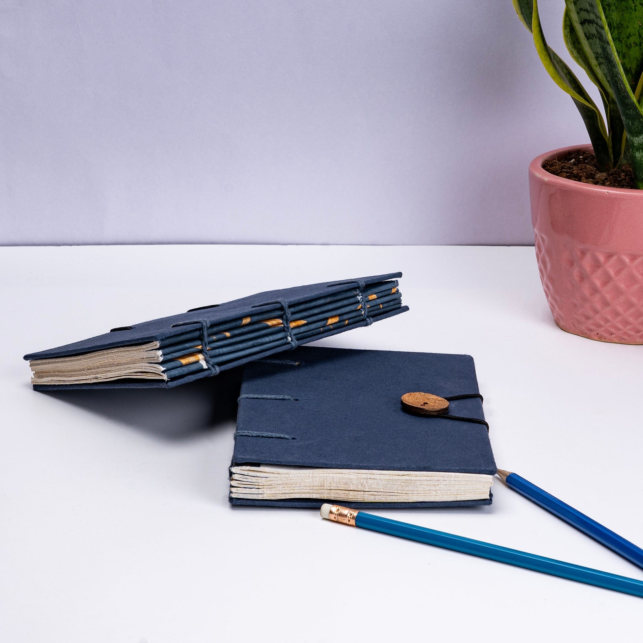 Artmansha Blue 'Button' Diary artmansha