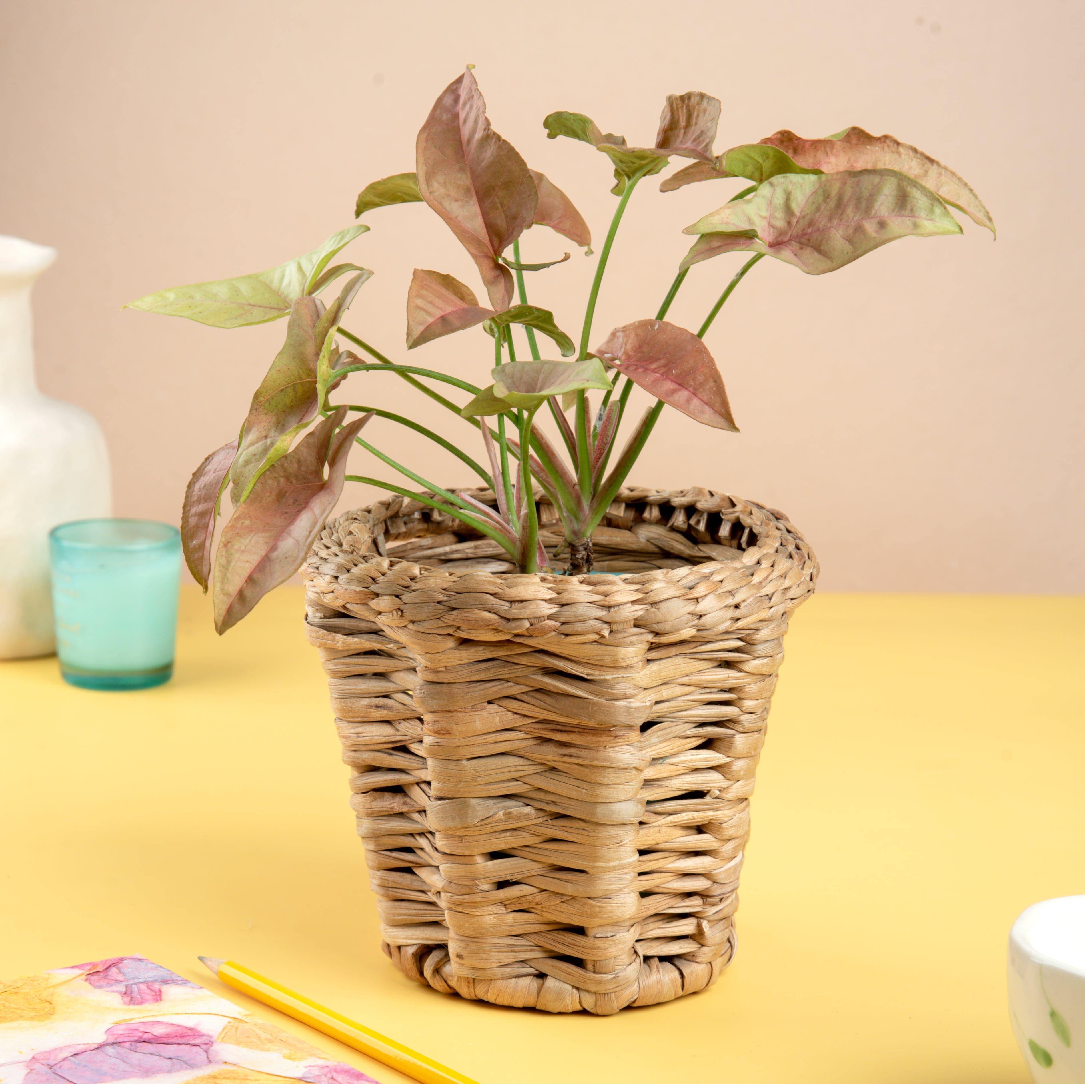 Baskets Natural Water Hyacinth Handcrafted Plant Basket artmansha