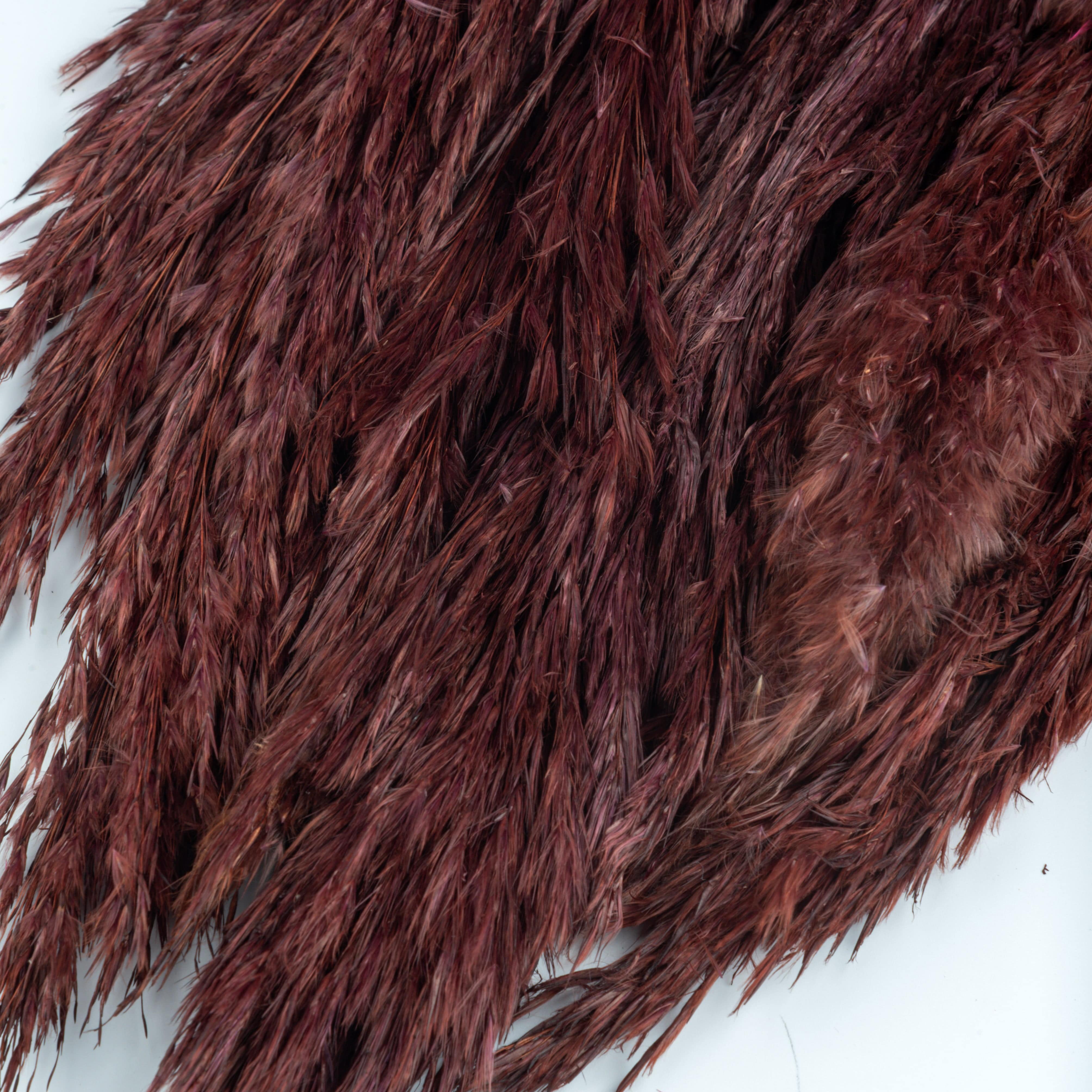 Decor Natural Dried Pampas Grass – 5 Stems (Dark Brown) artmansha