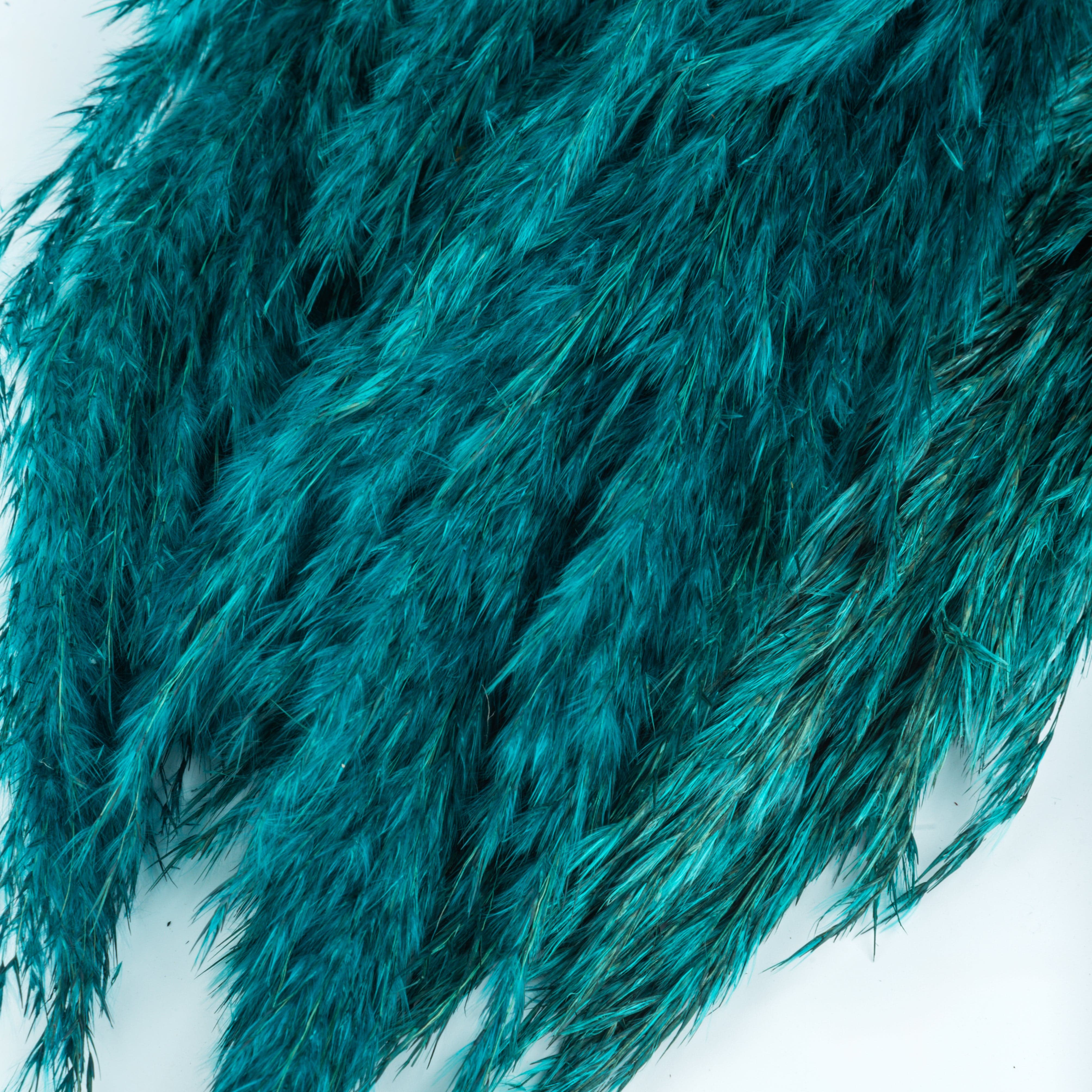 Decor Natural Dried Pampas Grass – 5 Stems (Teal) artmansha