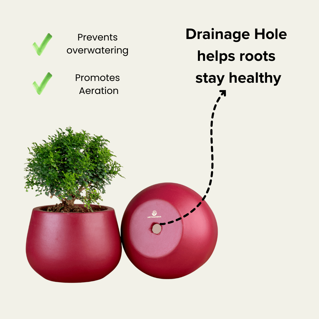 Pots & Planters Artmansha 'Minimal' Maroon Terracotta Planter artmansha