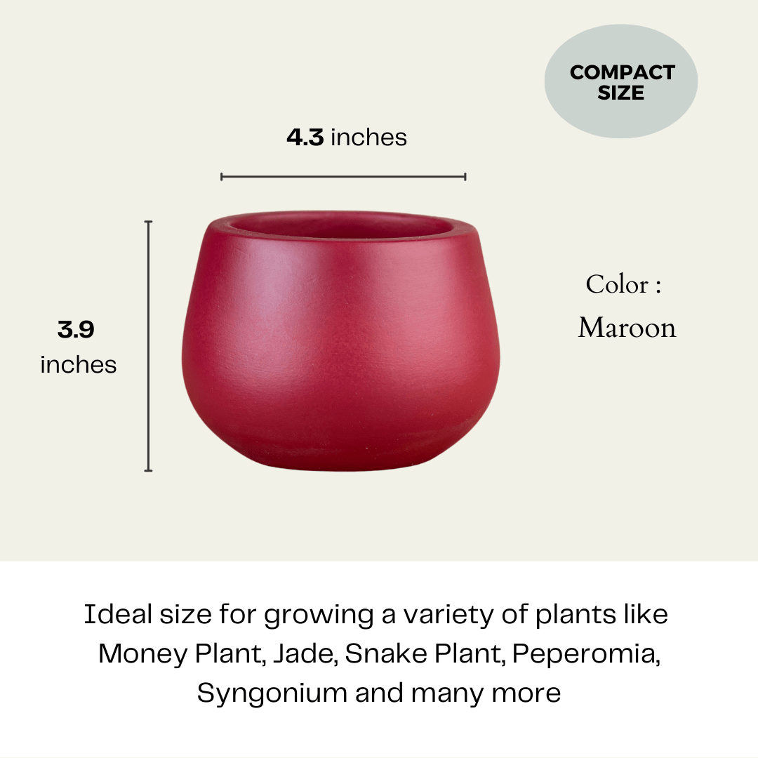 Pots & Planters Artmansha 'Minimal' Maroon Terracotta Planter artmansha