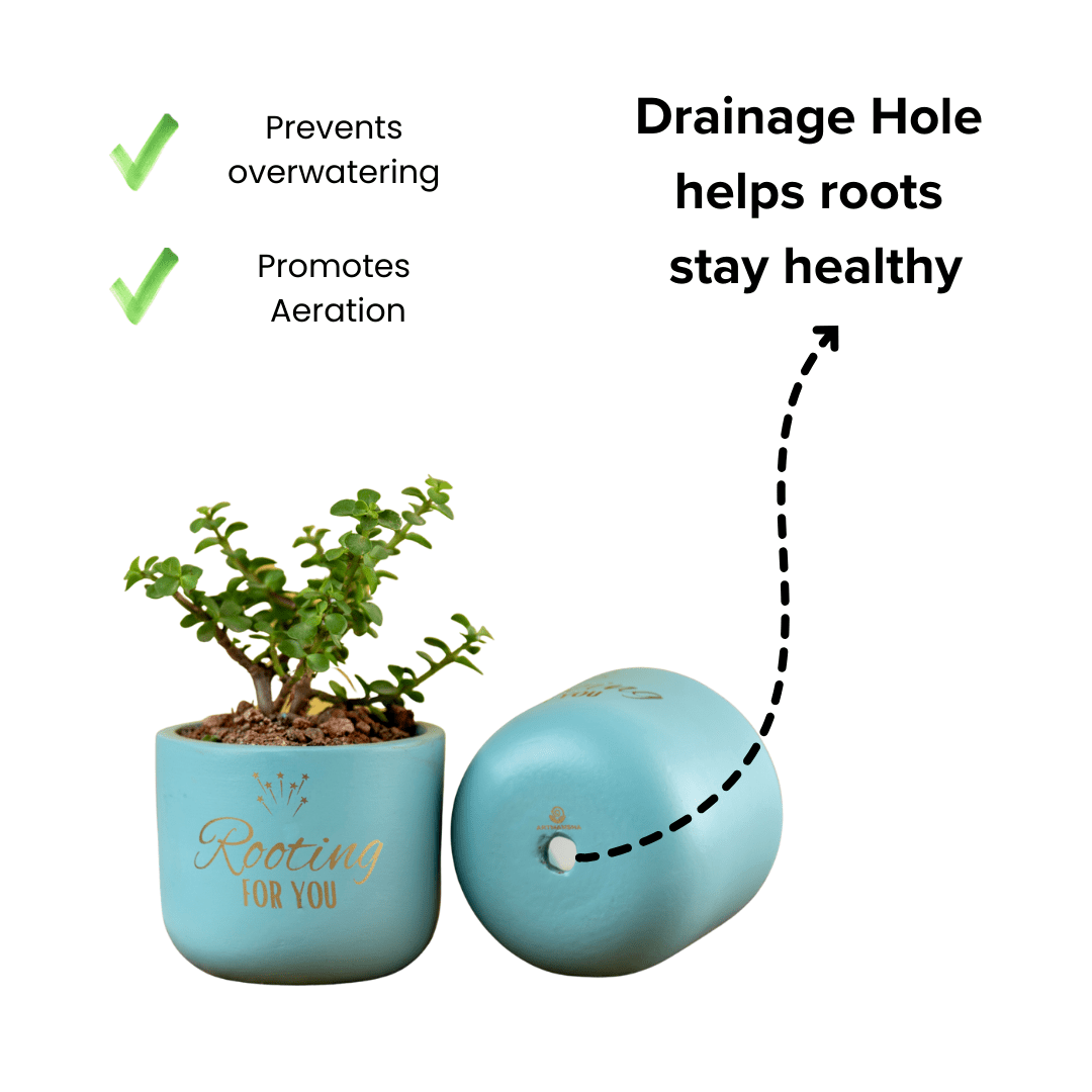 Pots & Planters 'Rooting for You' Terracotta Planter artmansha
