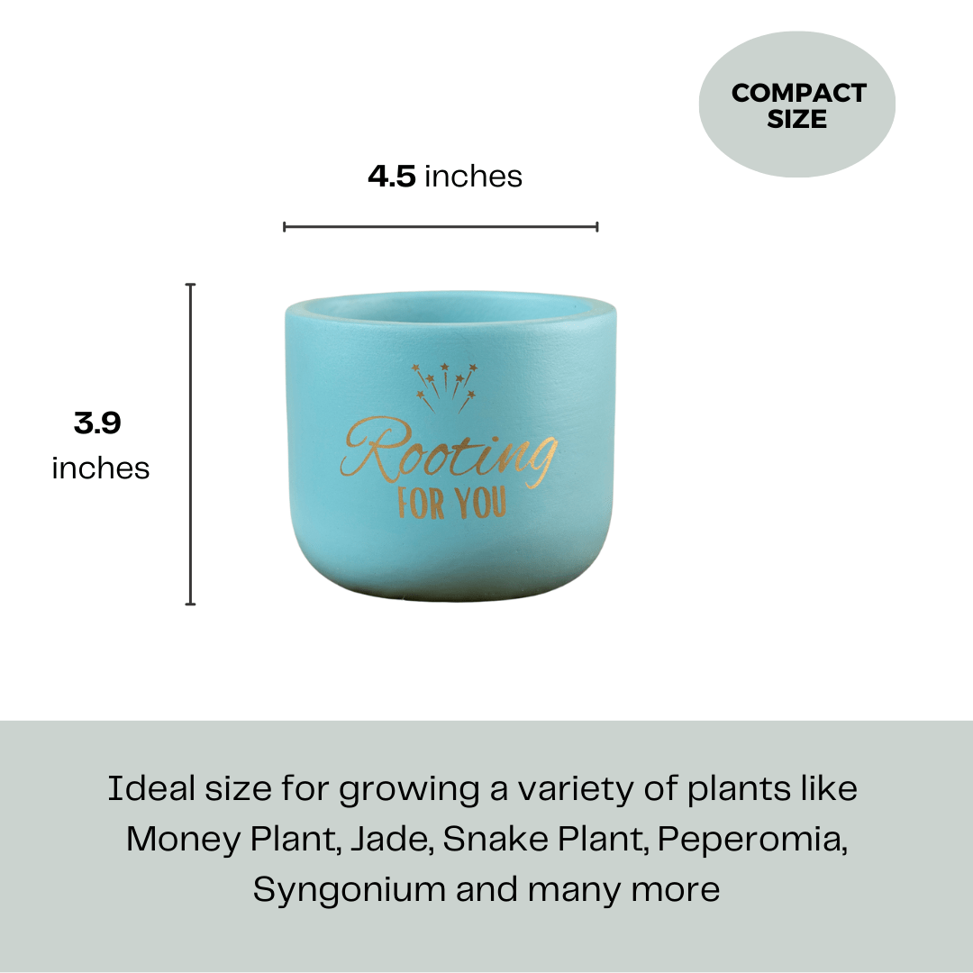 Pots & Planters 'Rooting for You' Terracotta Planter artmansha