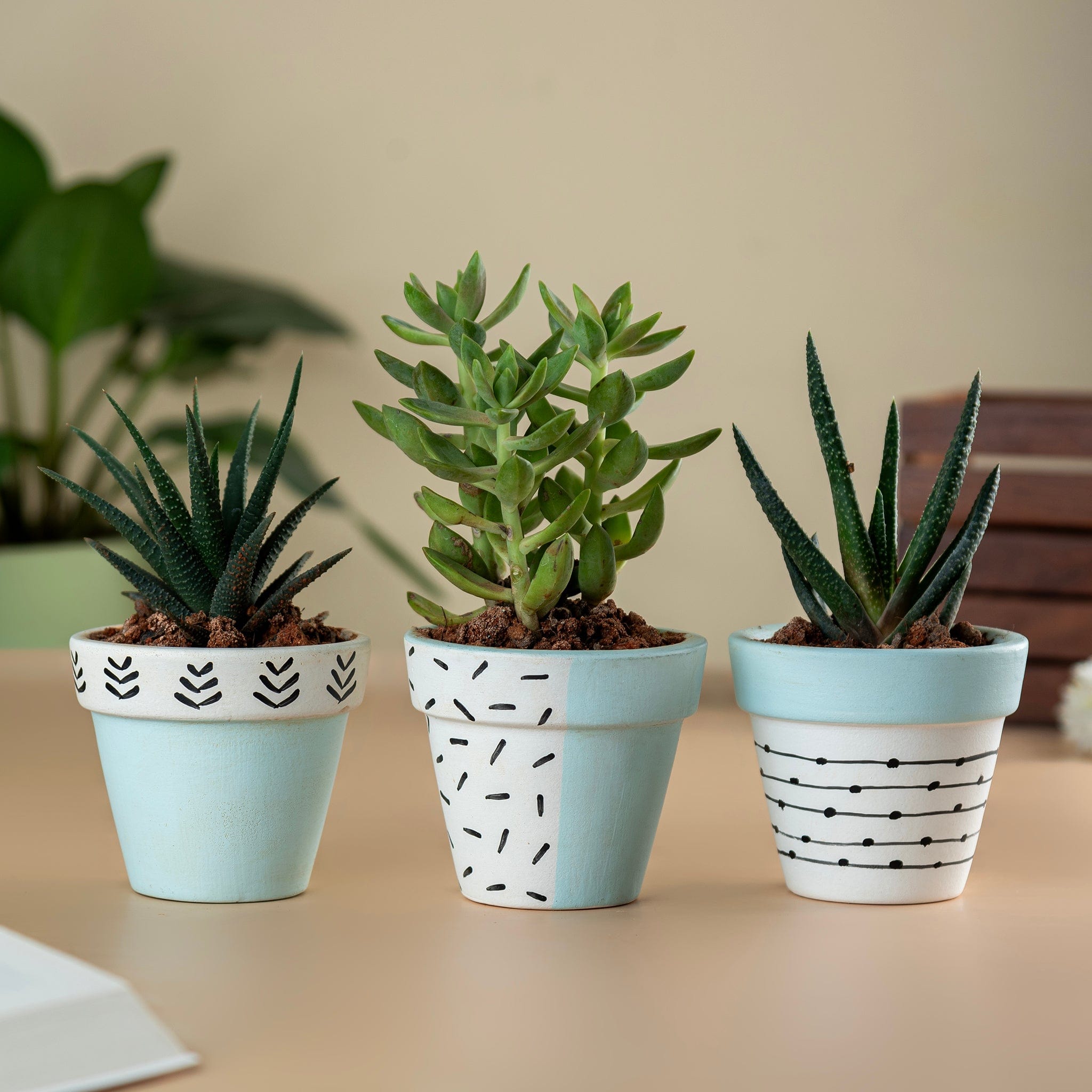 Pots & Planters Set of 3 Handpainted Tiny Terracotta Pots - Blue artmansha