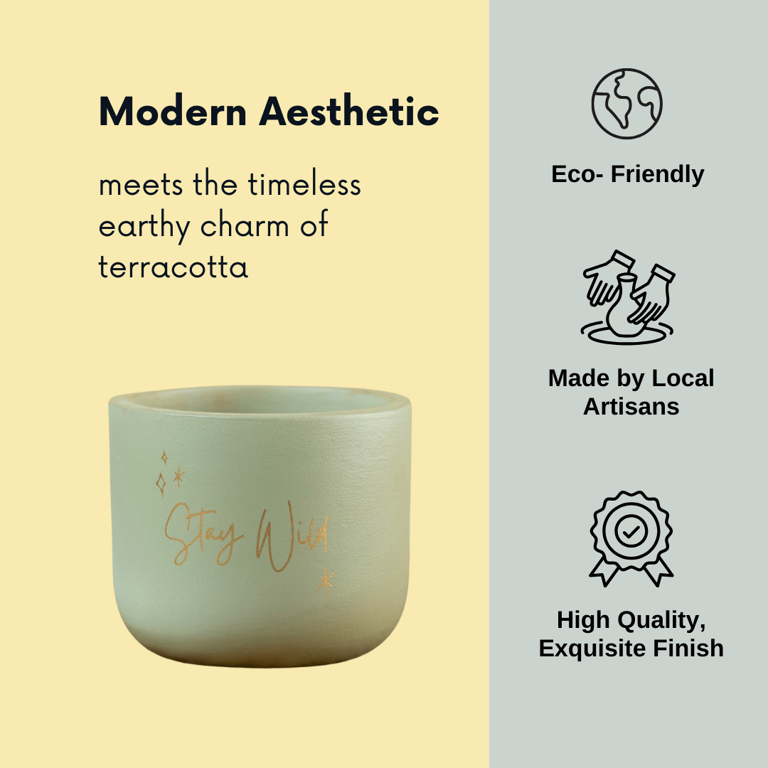 Pots & Planters 'Stay Wild' Terracotta Planter artmansha