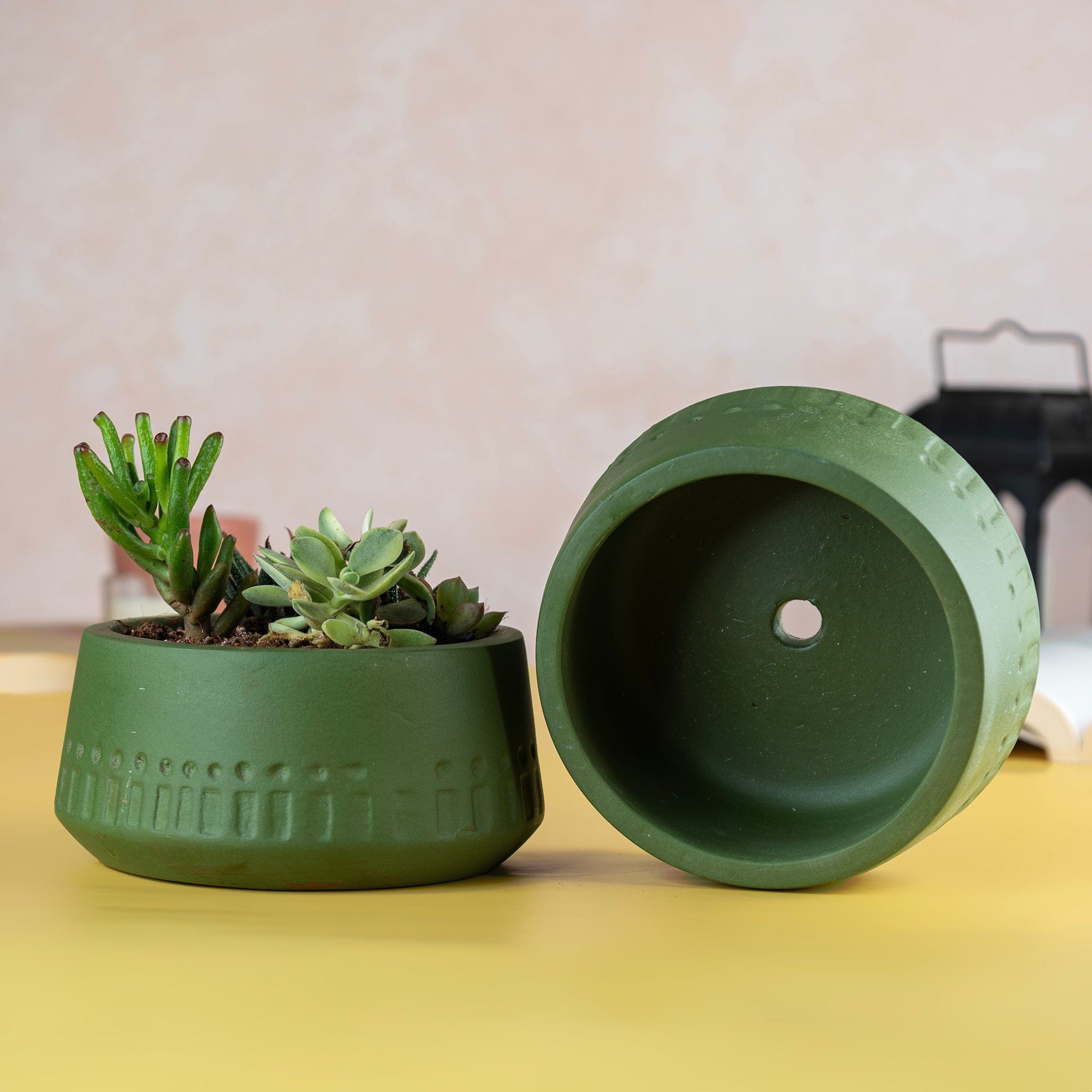 Pots & Planters Terracotta Olive Carved Planter artmansha