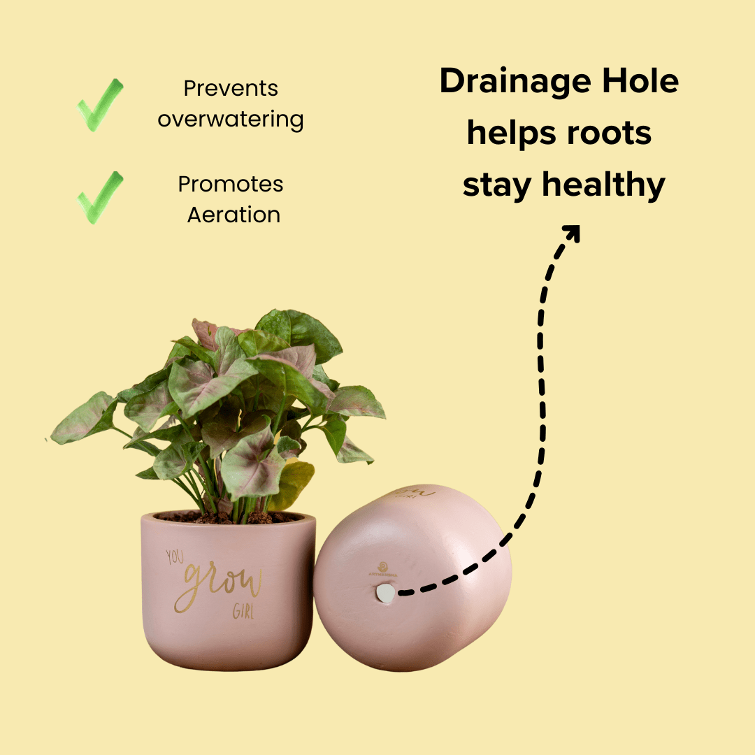 Pots & Planters 'You Grow Girl' Terracotta Planter artmansha