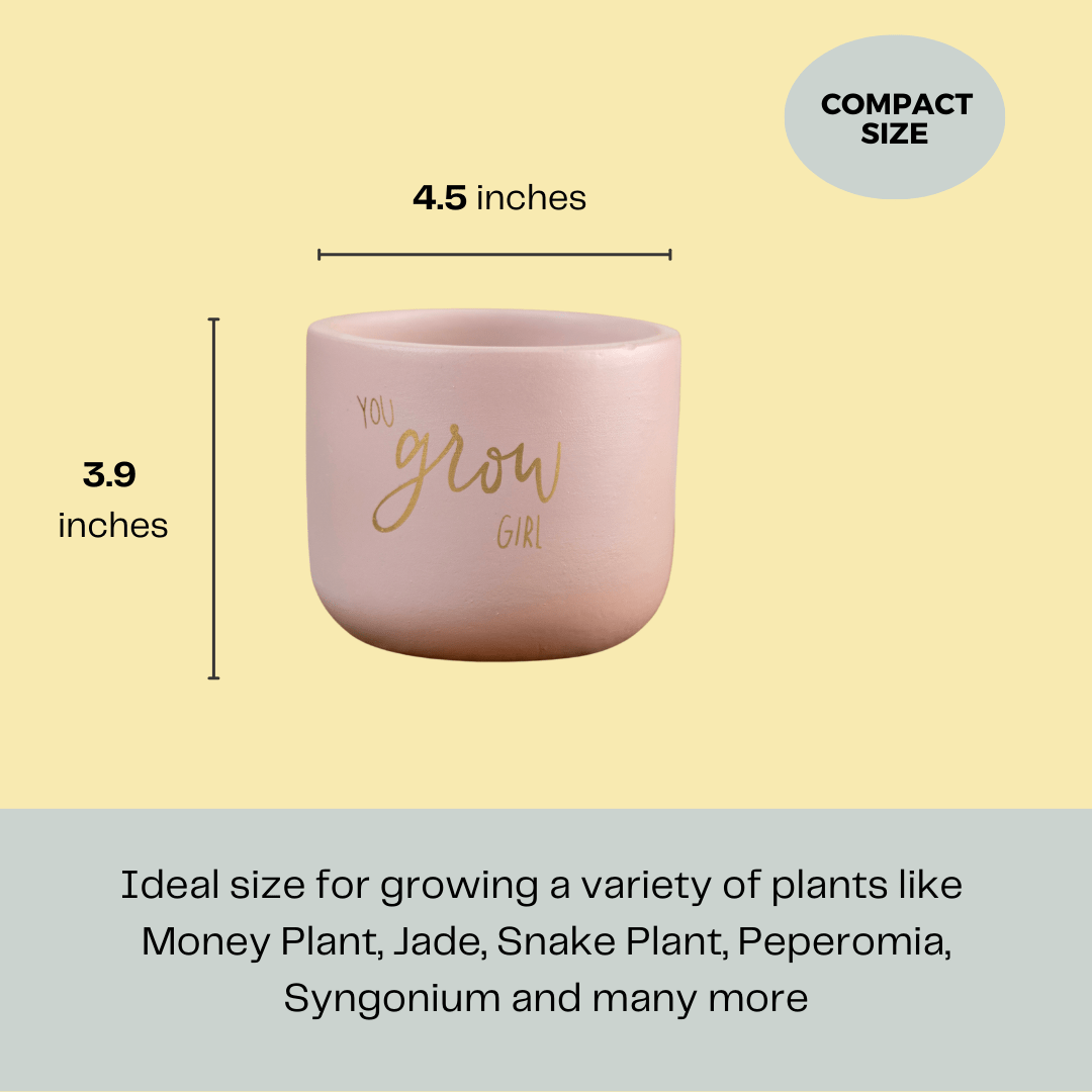 Pots & Planters 'You Grow Girl' Terracotta Planter artmansha
