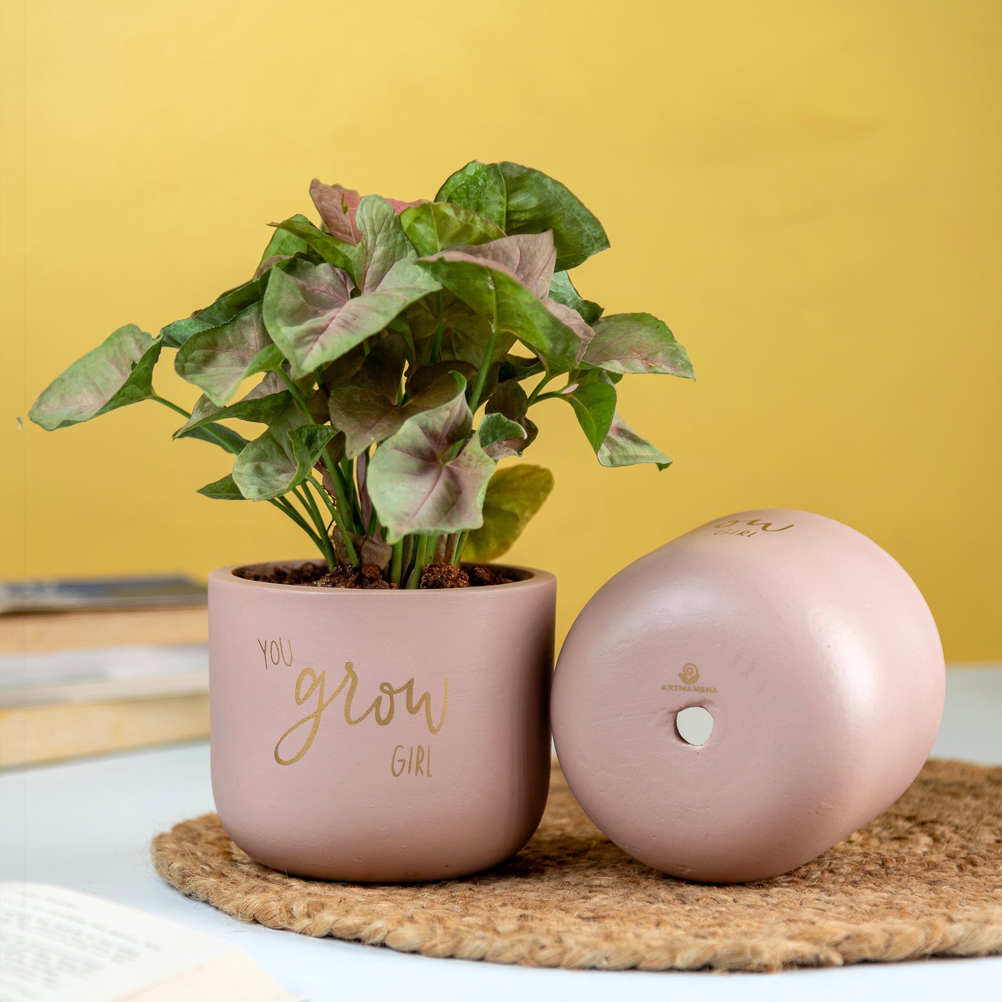 Pots & Planters 'You Grow Girl' Terracotta Planter artmansha