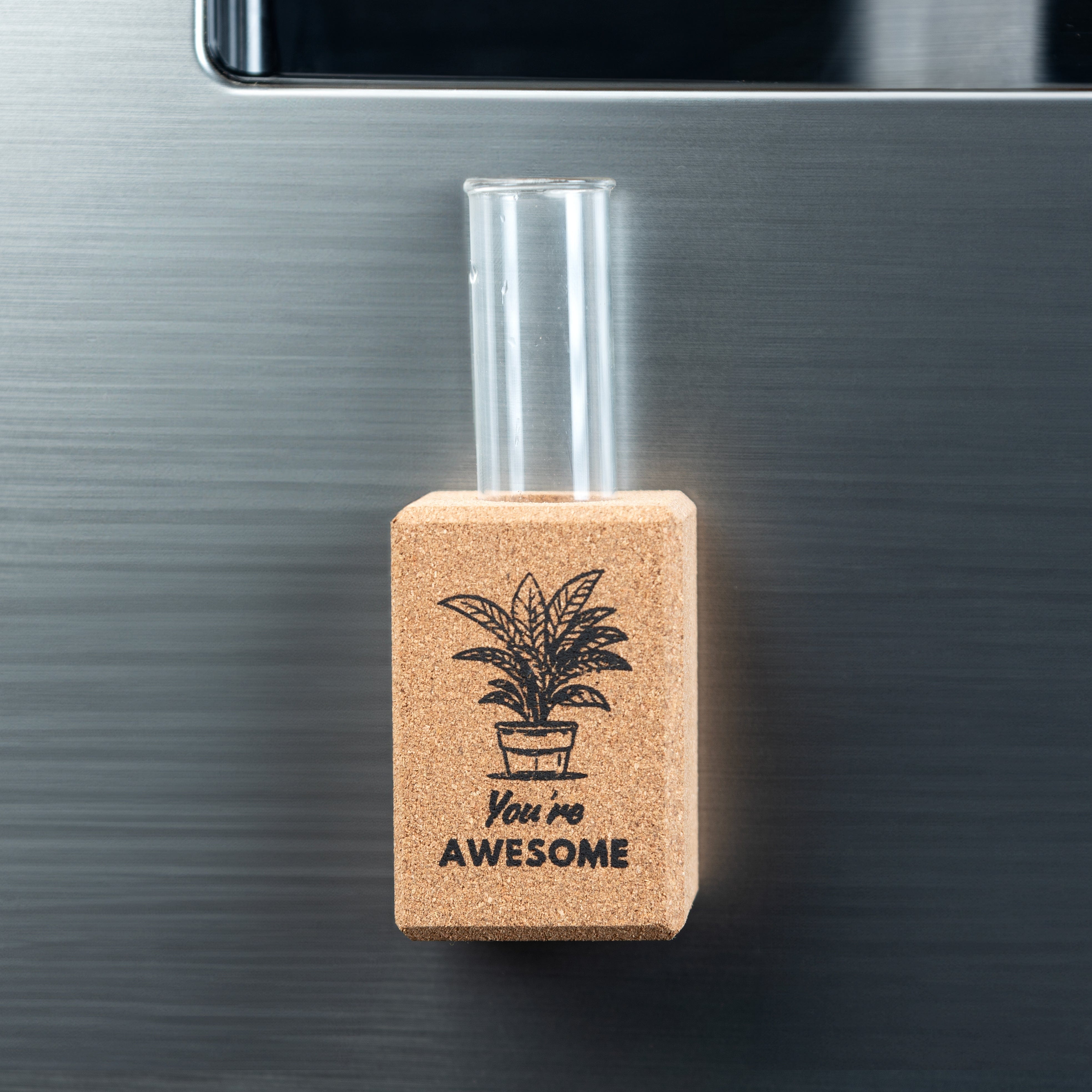 Vases 'Positive Affirmations' Magnetic Planters/Vases (Cork) artmansha