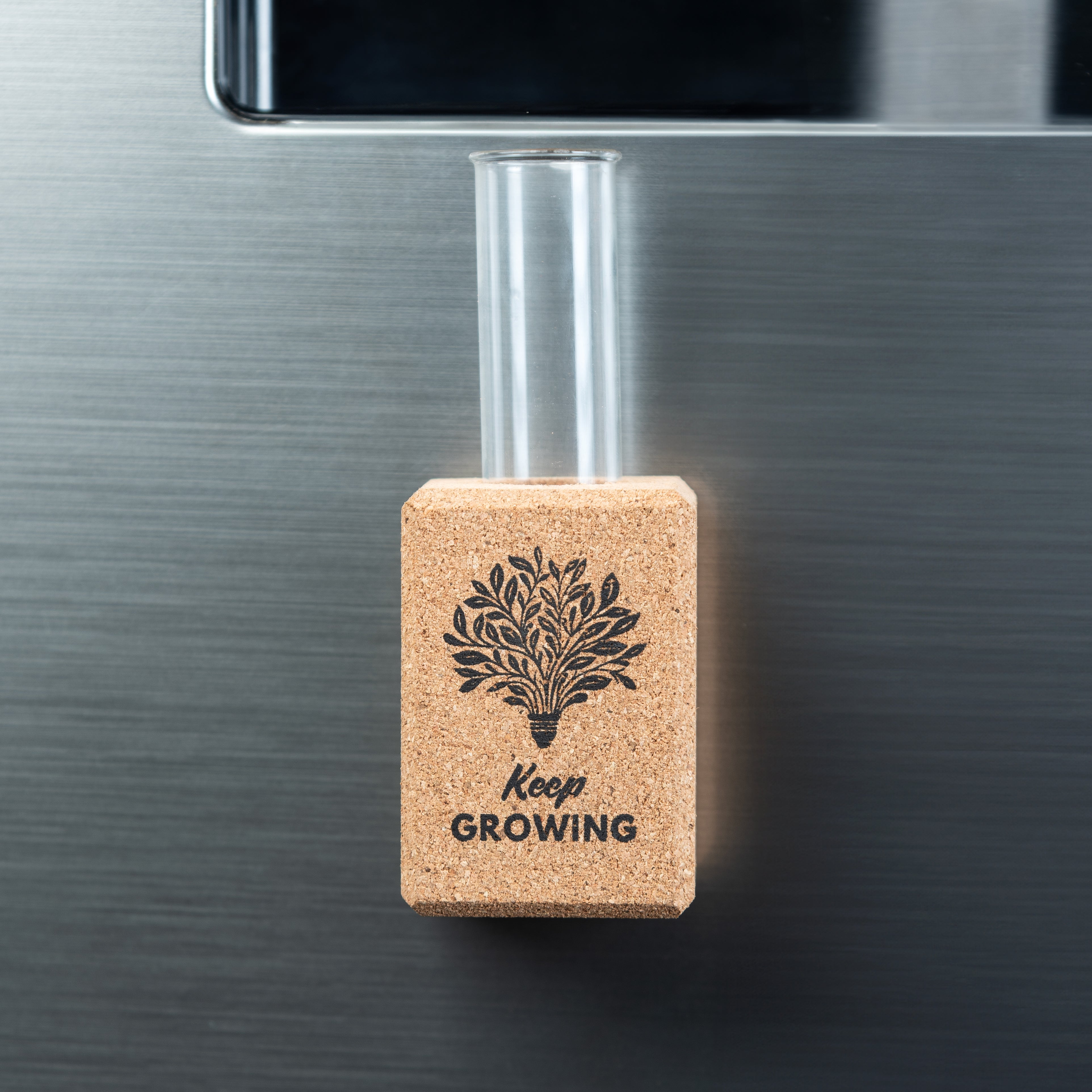 'Positive Affirmations' Magnetic Planters/Vases (Cork)