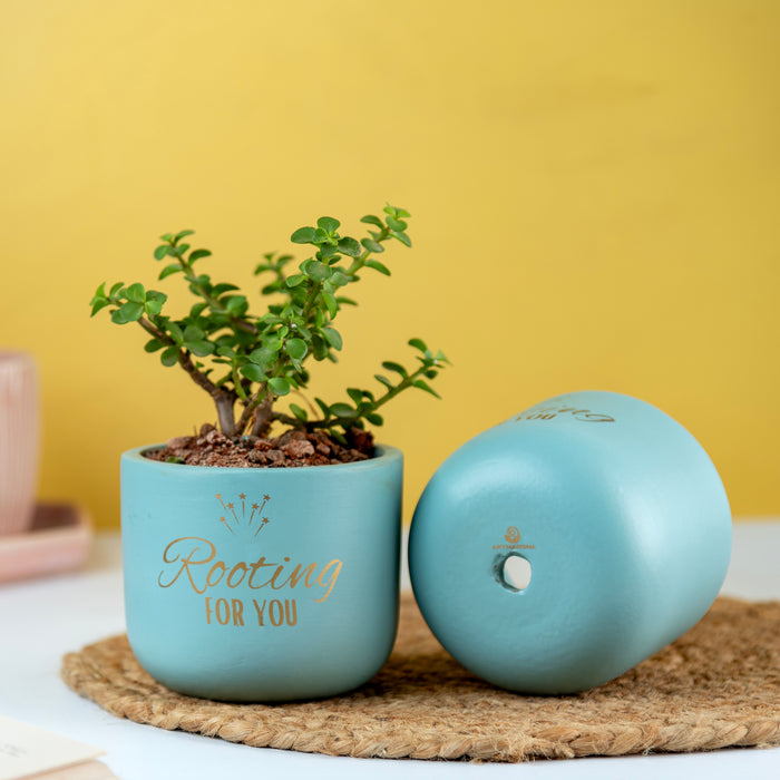 'Rooting for You' Terracotta Planter