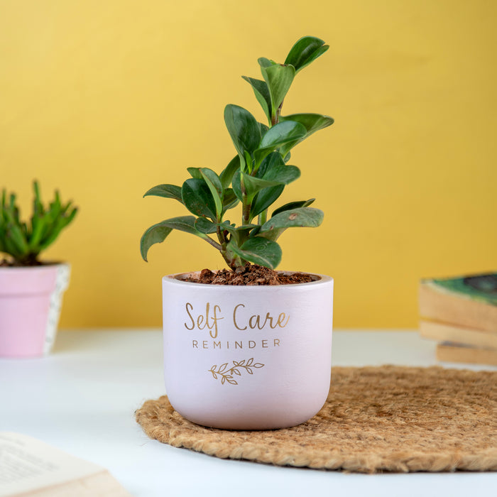 Artmansha 'Self Care Reminder' Terracotta Planter