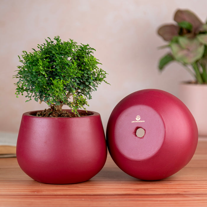 Artmansha 'Minimal' Maroon Terracotta Planter