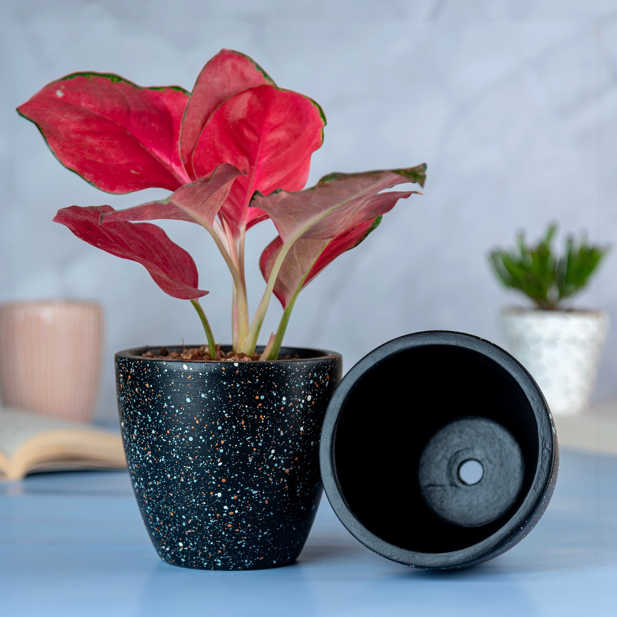 'Galaxy' Black Terracotta Planter