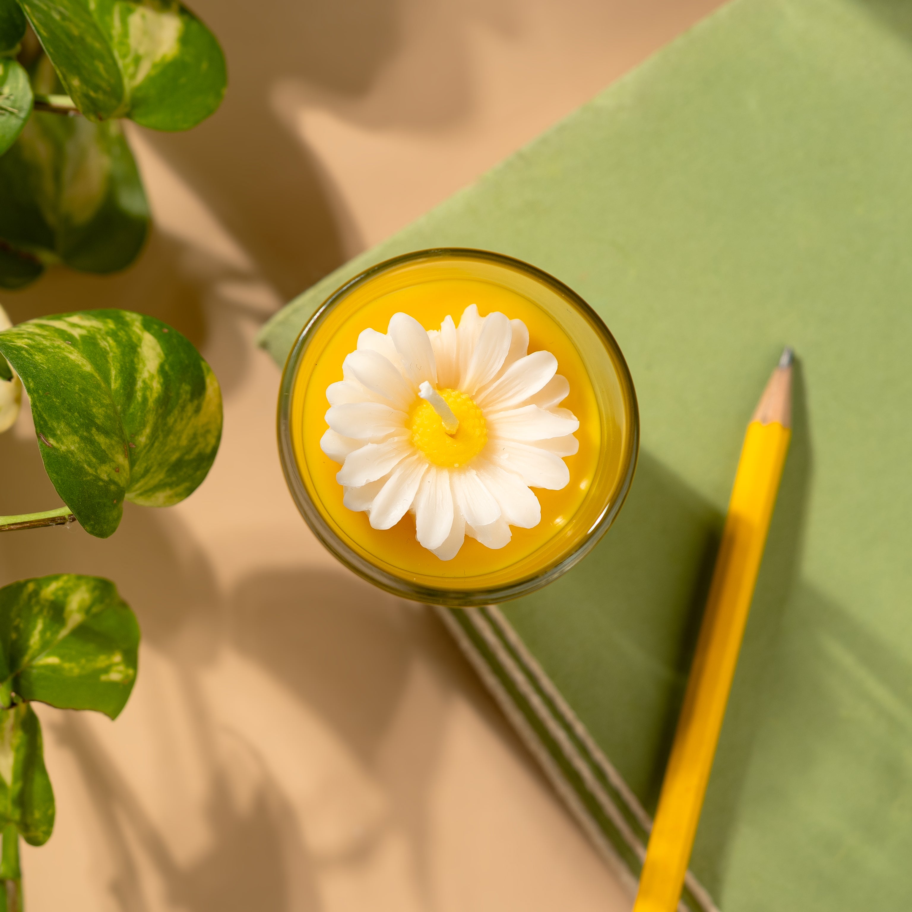 Gift Set of 2 Daisy Shot Jar Soy Wax Candles – Vanilla