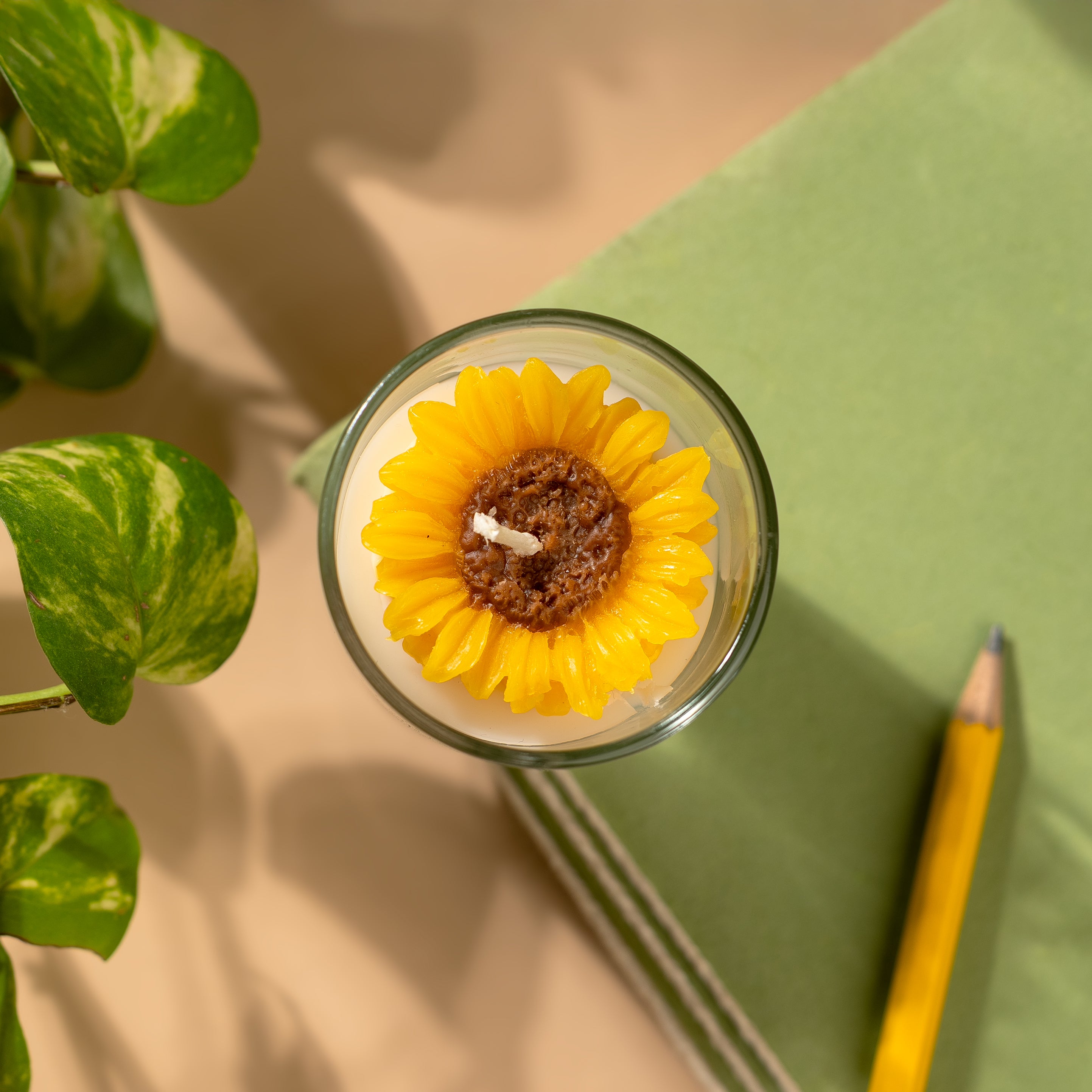 Sunflower Candle (Jasmine)