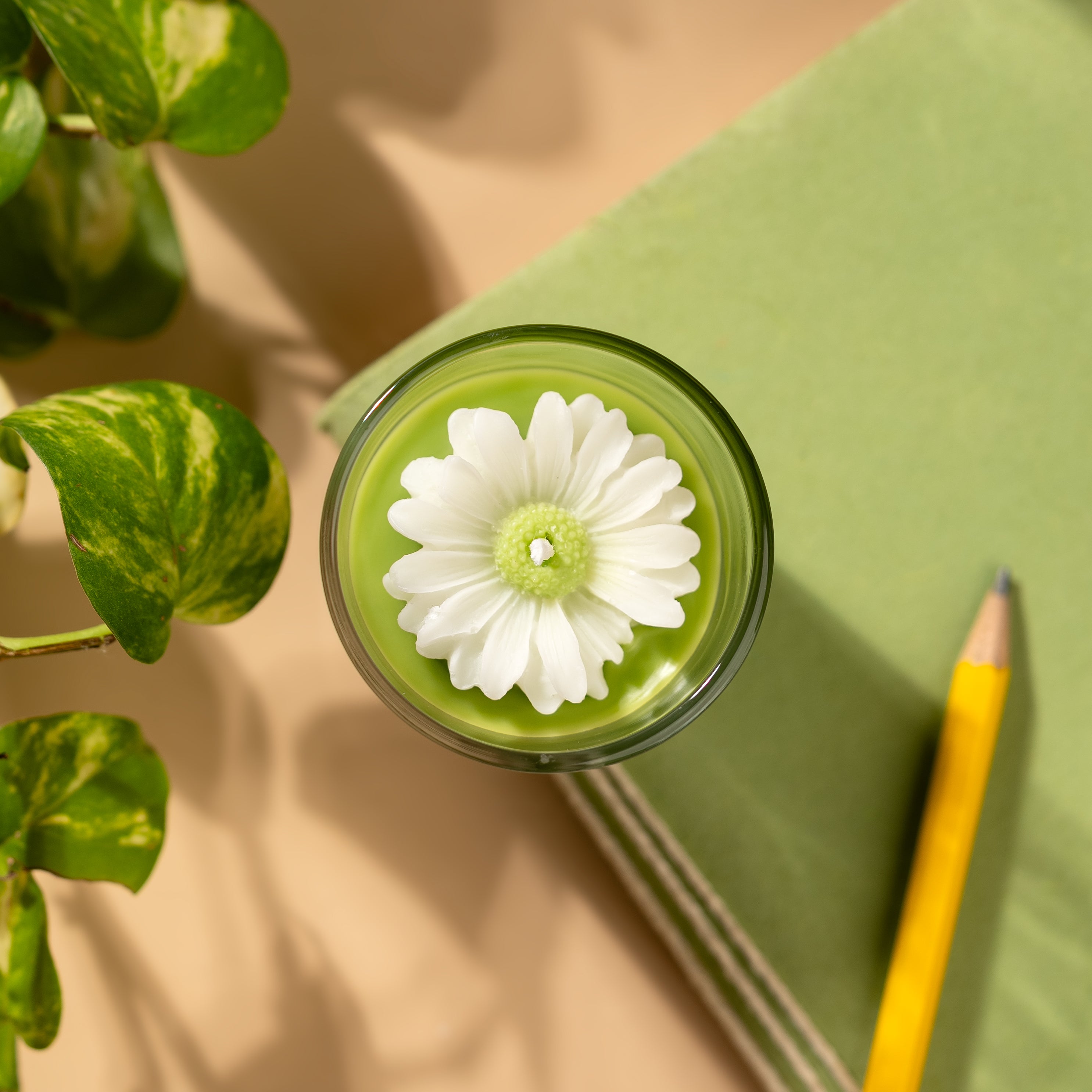 Daisy Shot Jar Green (Lemongrass)
