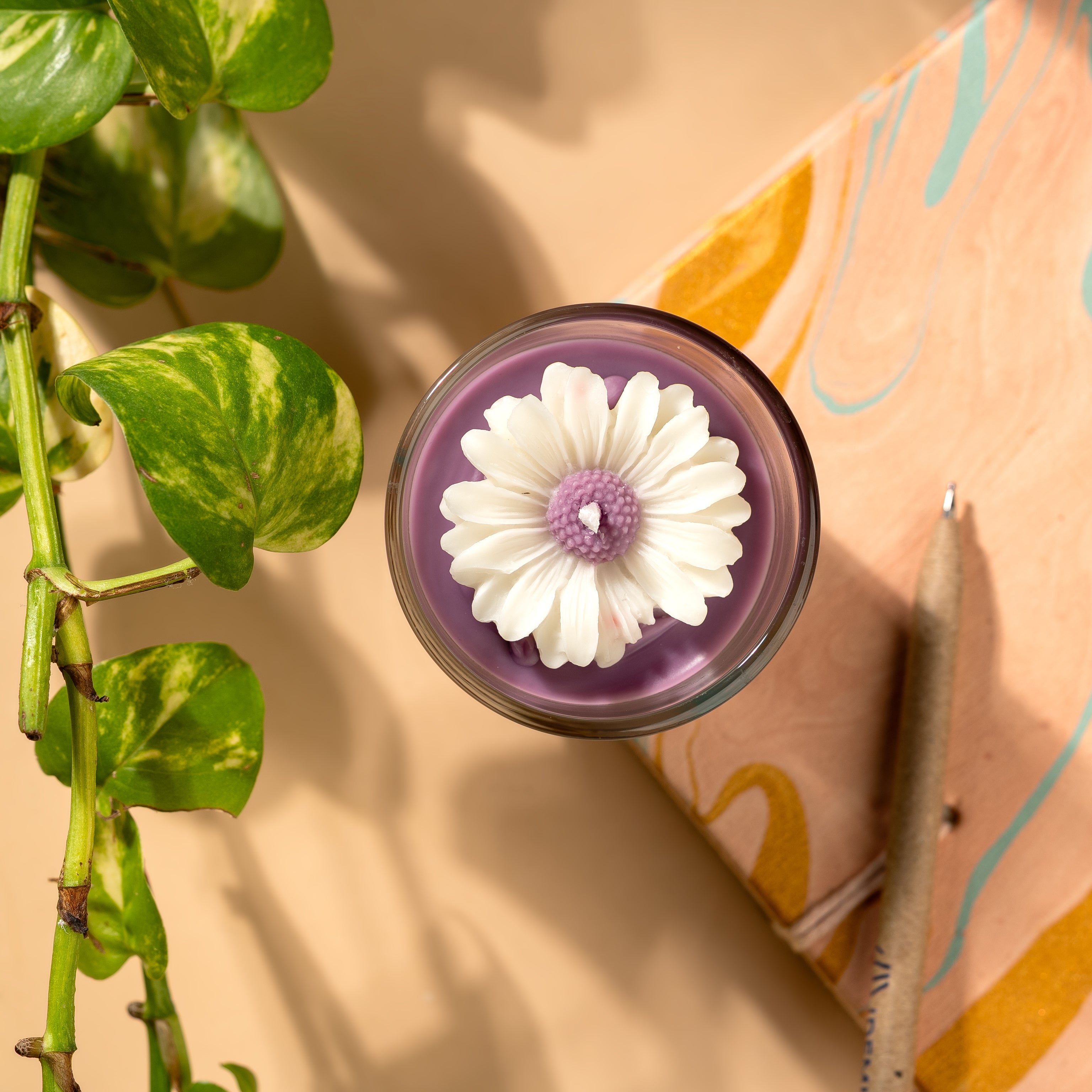 Gift Set of 2 Daisy Shot Jar Soy Wax Candles – Lavender