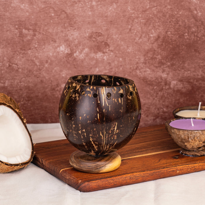 'Coco' Coconut Shell Planter with Wooden Base