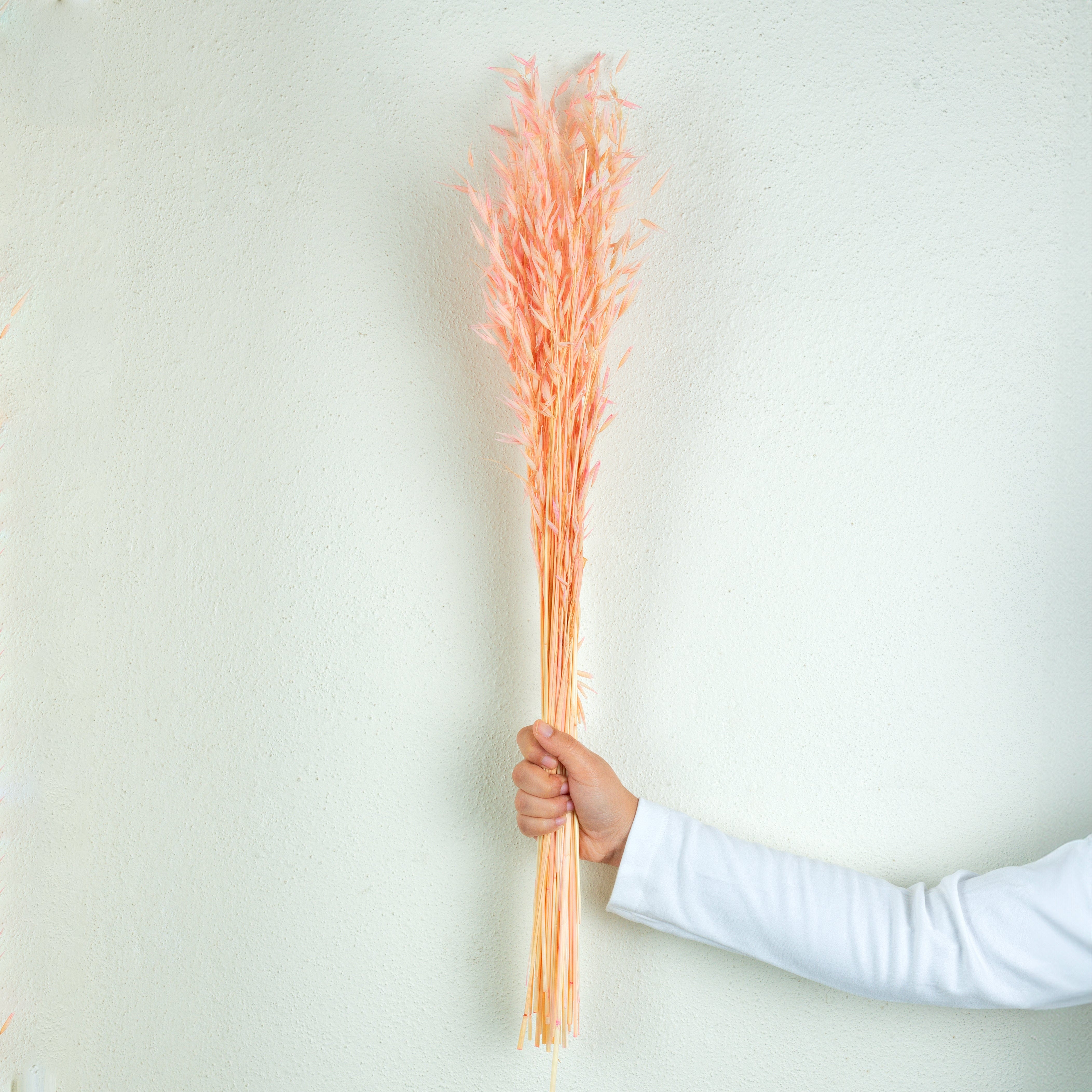 Decor Natural Dried Havana Grass 50 gram pack (Vase Filler for Home Décor)- Pink artmansha