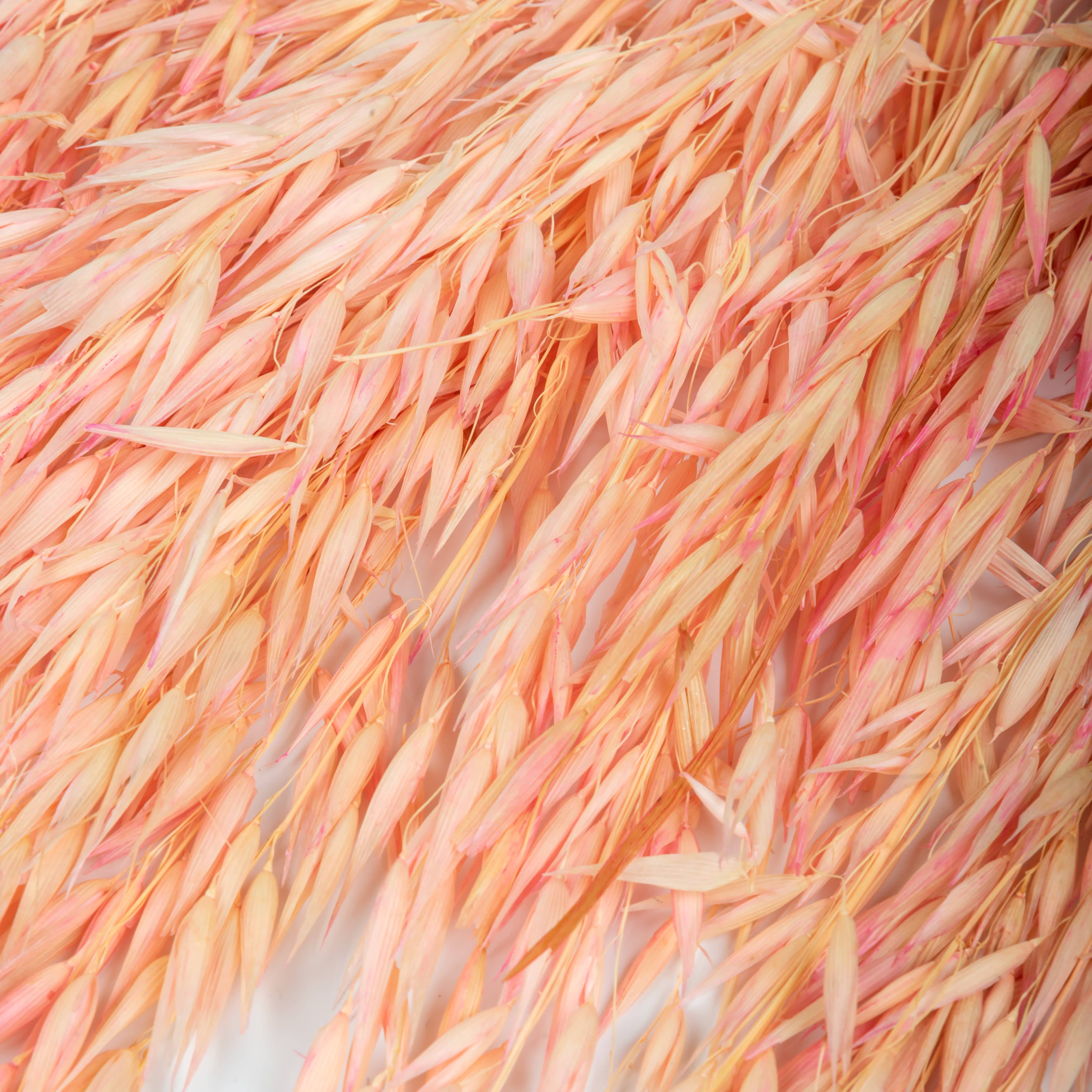 Decor Natural Dried Havana Grass 50 gram pack (Vase Filler for Home Décor)- Pink artmansha