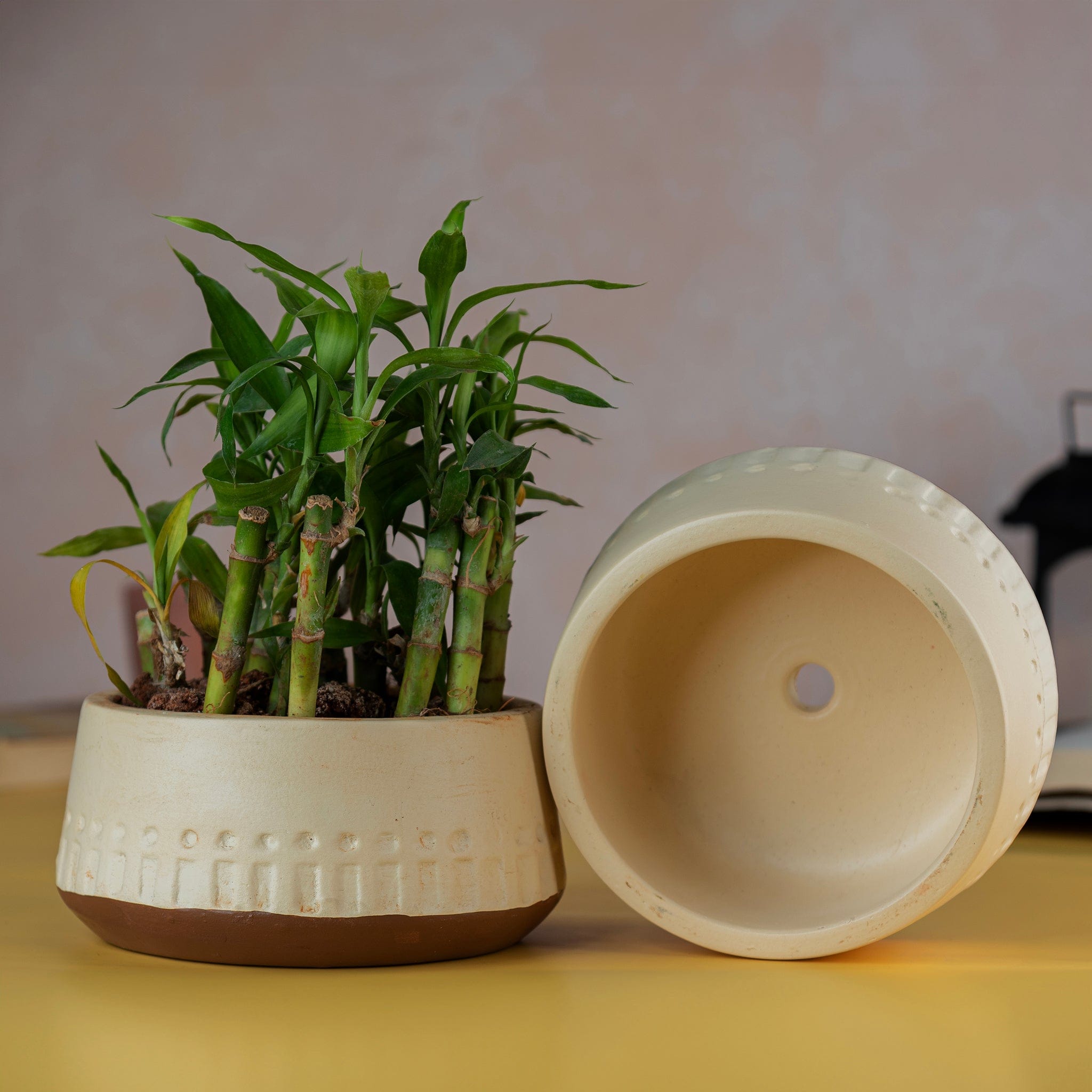 Pots & Planters 'Earthy' Carved Terracotta Planter artmansha