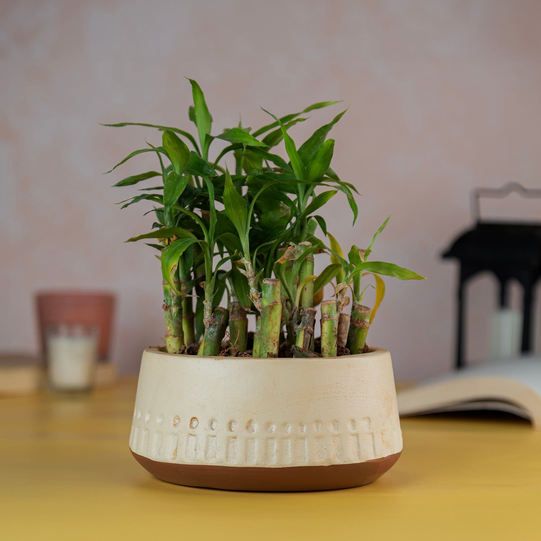 Pots & Planters 'Earthy' Carved Terracotta Planter artmansha