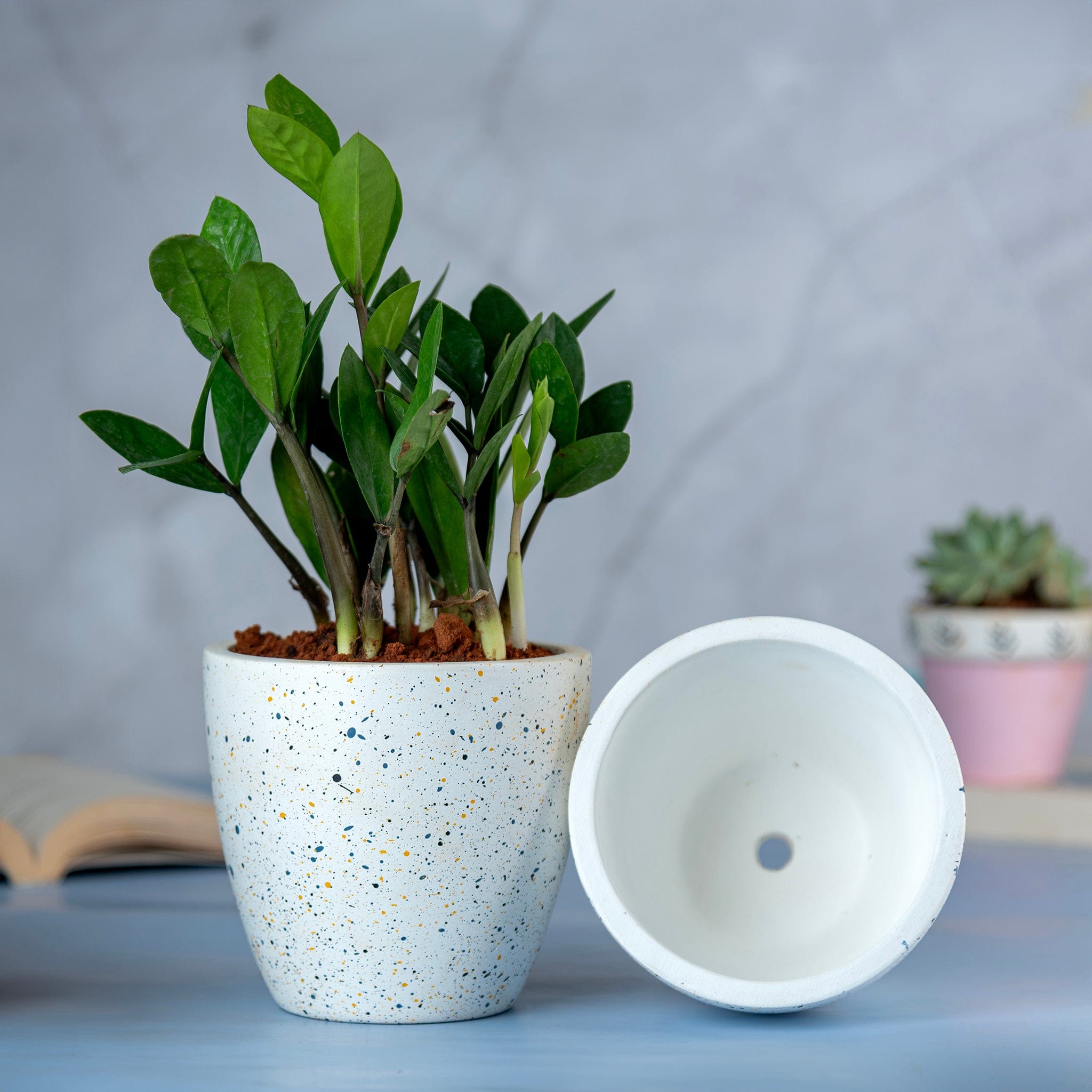 Pots & Planters 'Galaxy' White Terracotta Planter artmansha