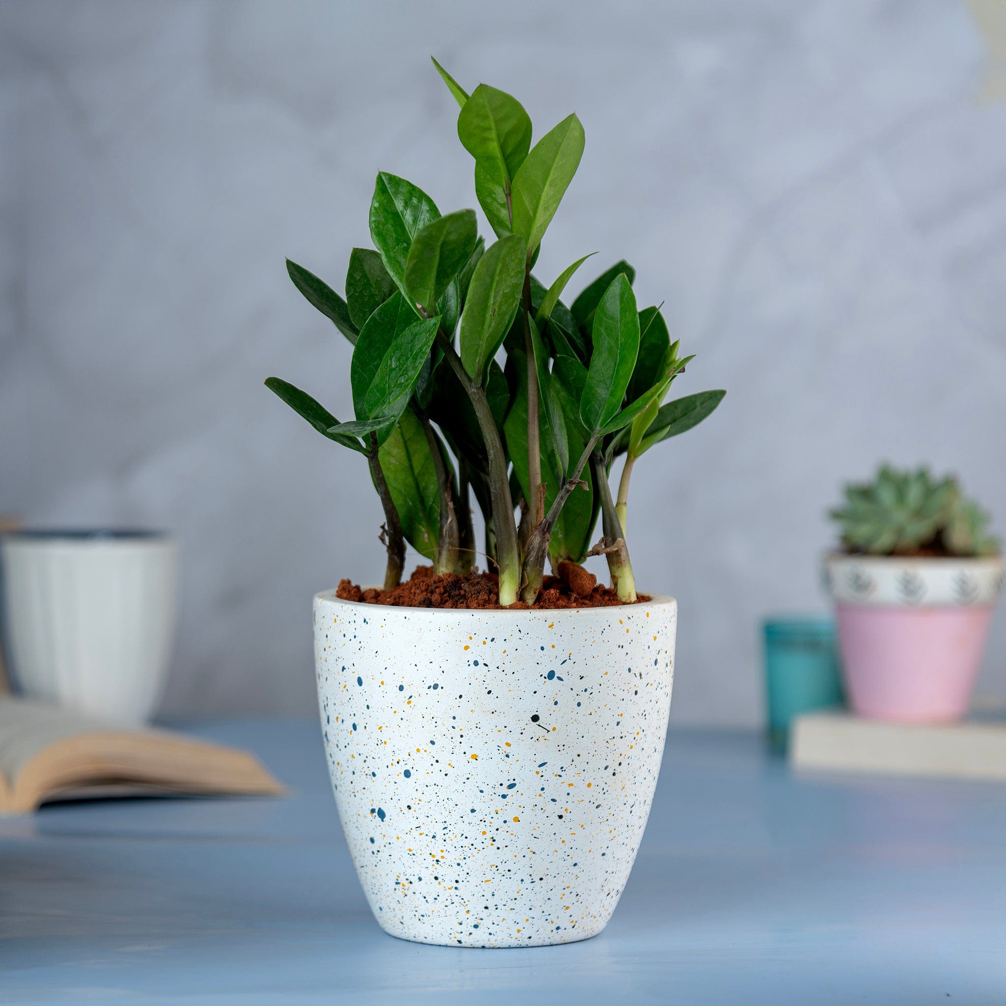 Pots & Planters 'Galaxy' White Terracotta Planter artmansha