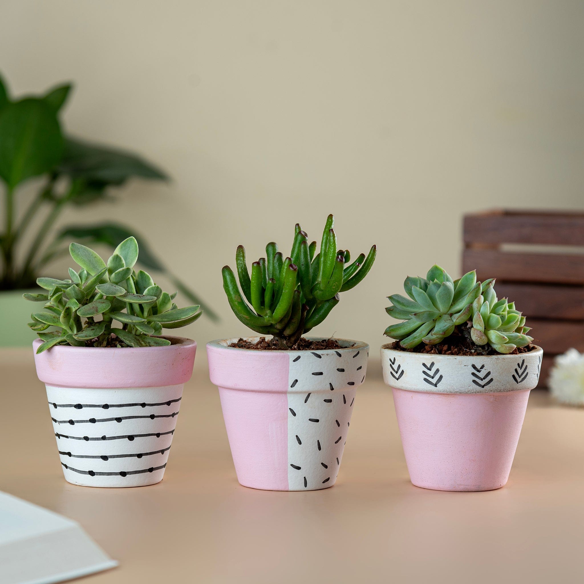 Pots & Planters Set of 3 Handpainted Tiny Terracotta Pots - Pink artmansha