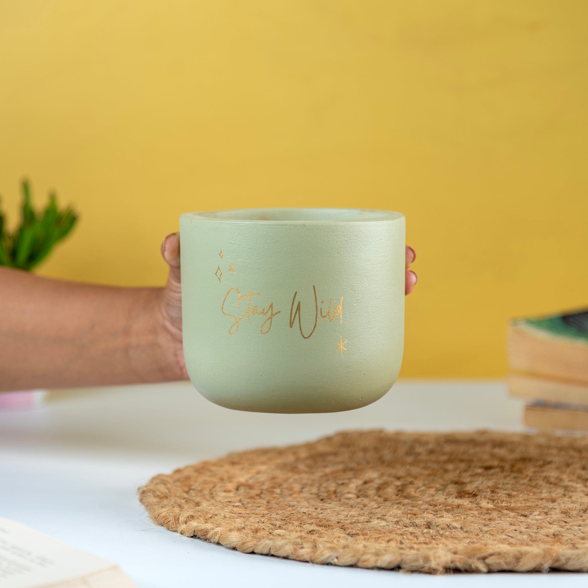 Pots & Planters 'Stay Wild' Terracotta Planter artmansha