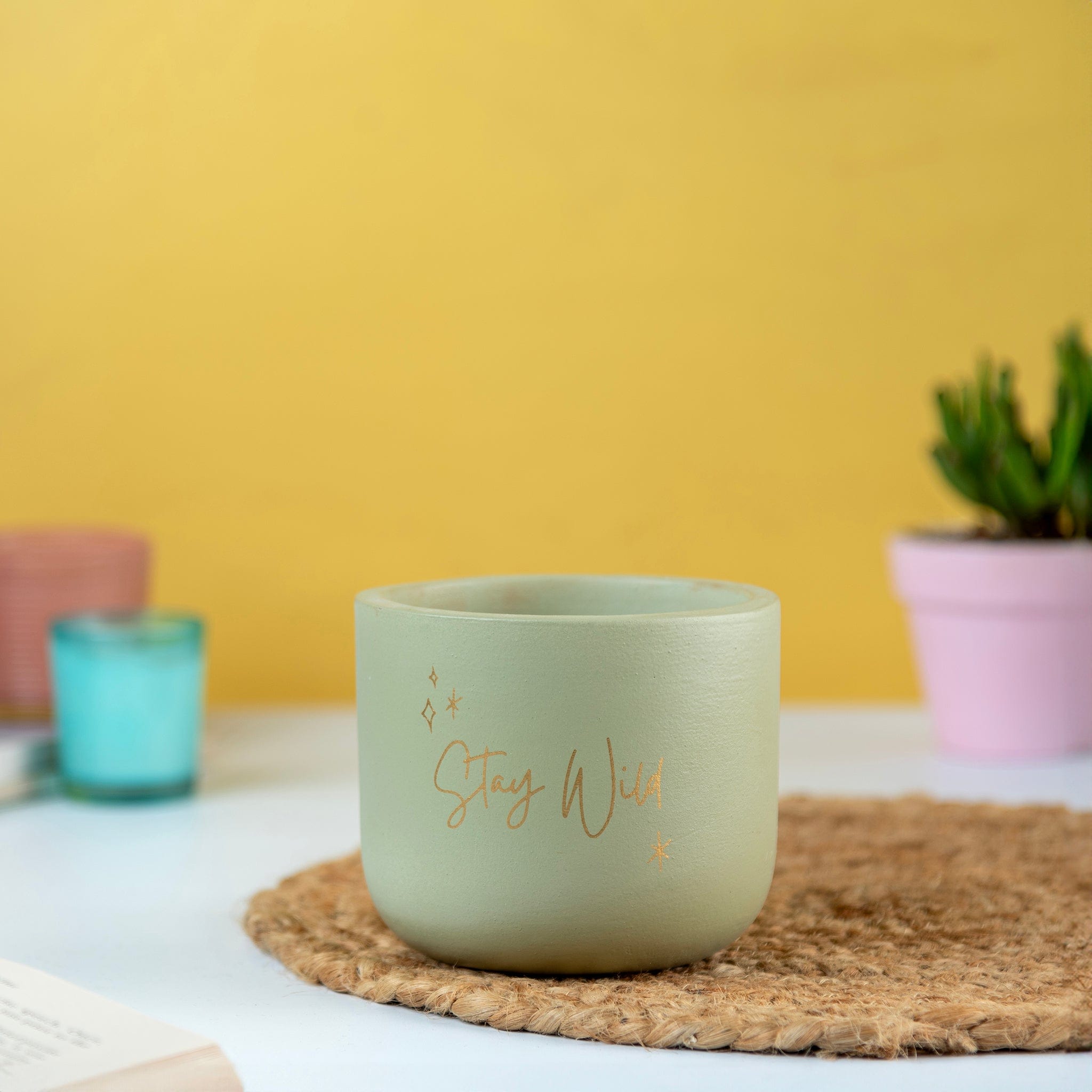 Pots & Planters 'Stay Wild' Terracotta Planter artmansha