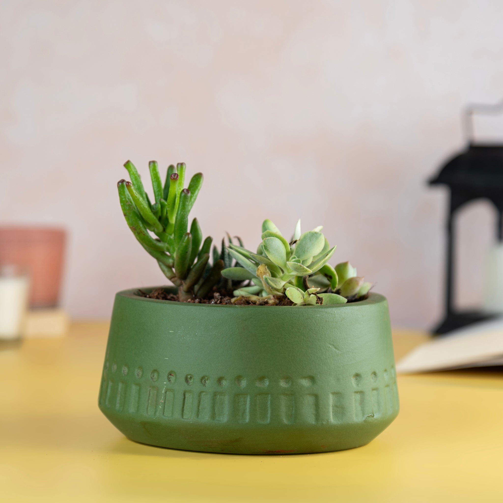 Pots & Planters Terracotta Olive Carved Planter artmansha