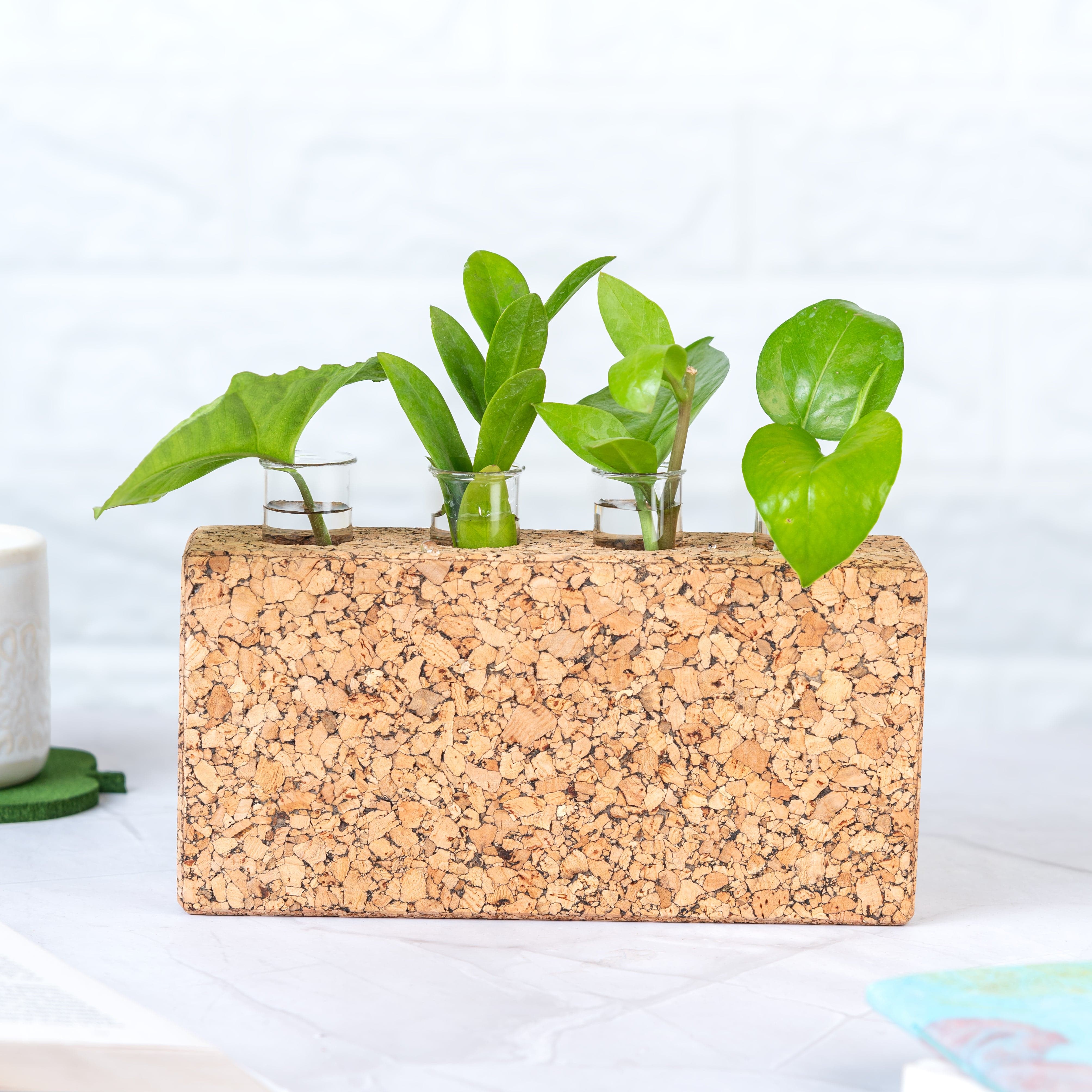 Vases 'Blooming Brick' Cork Test Tube Vase/Planter artmansha