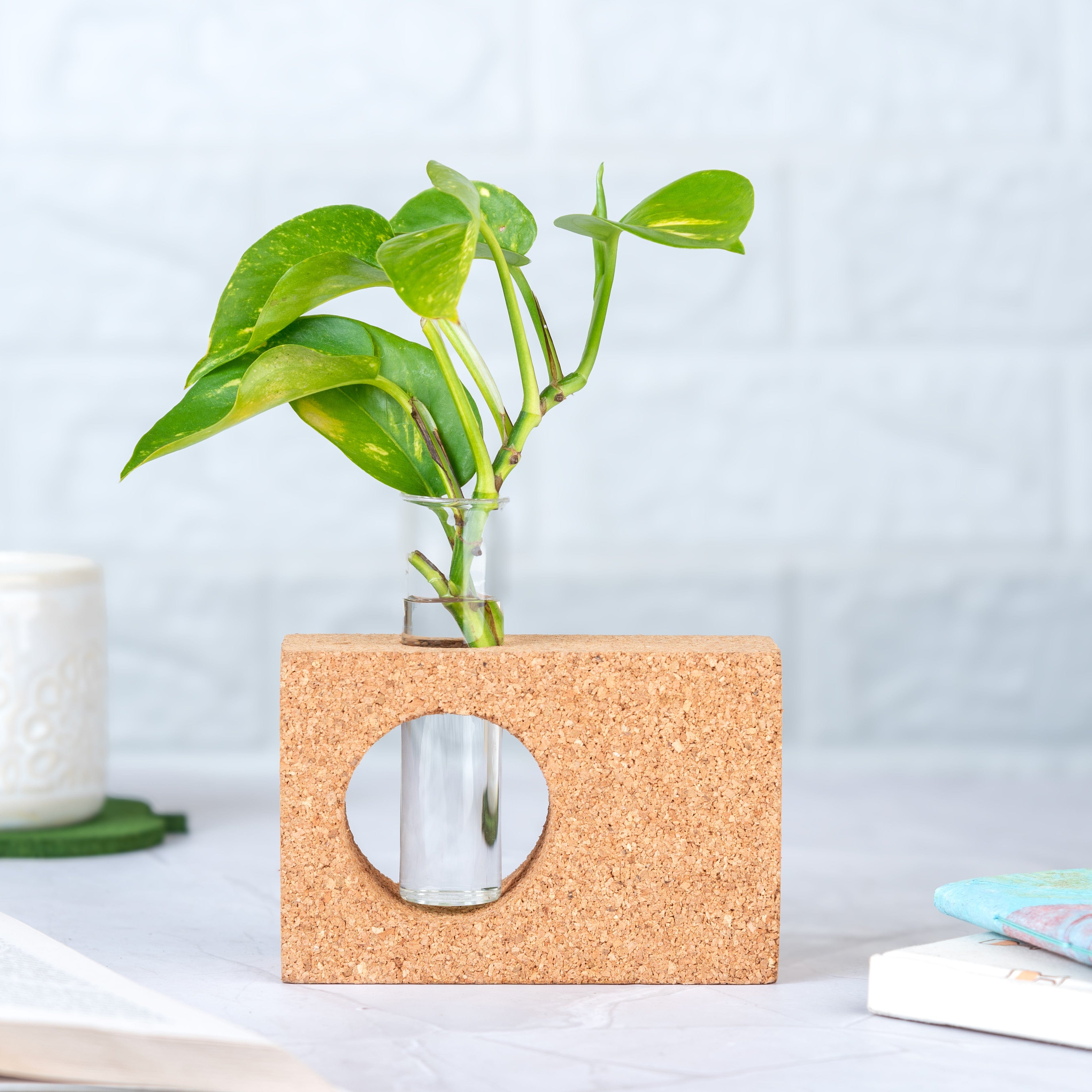 Vases 'Minimal' Cork Table Test Tube Planter/Vase artmansha