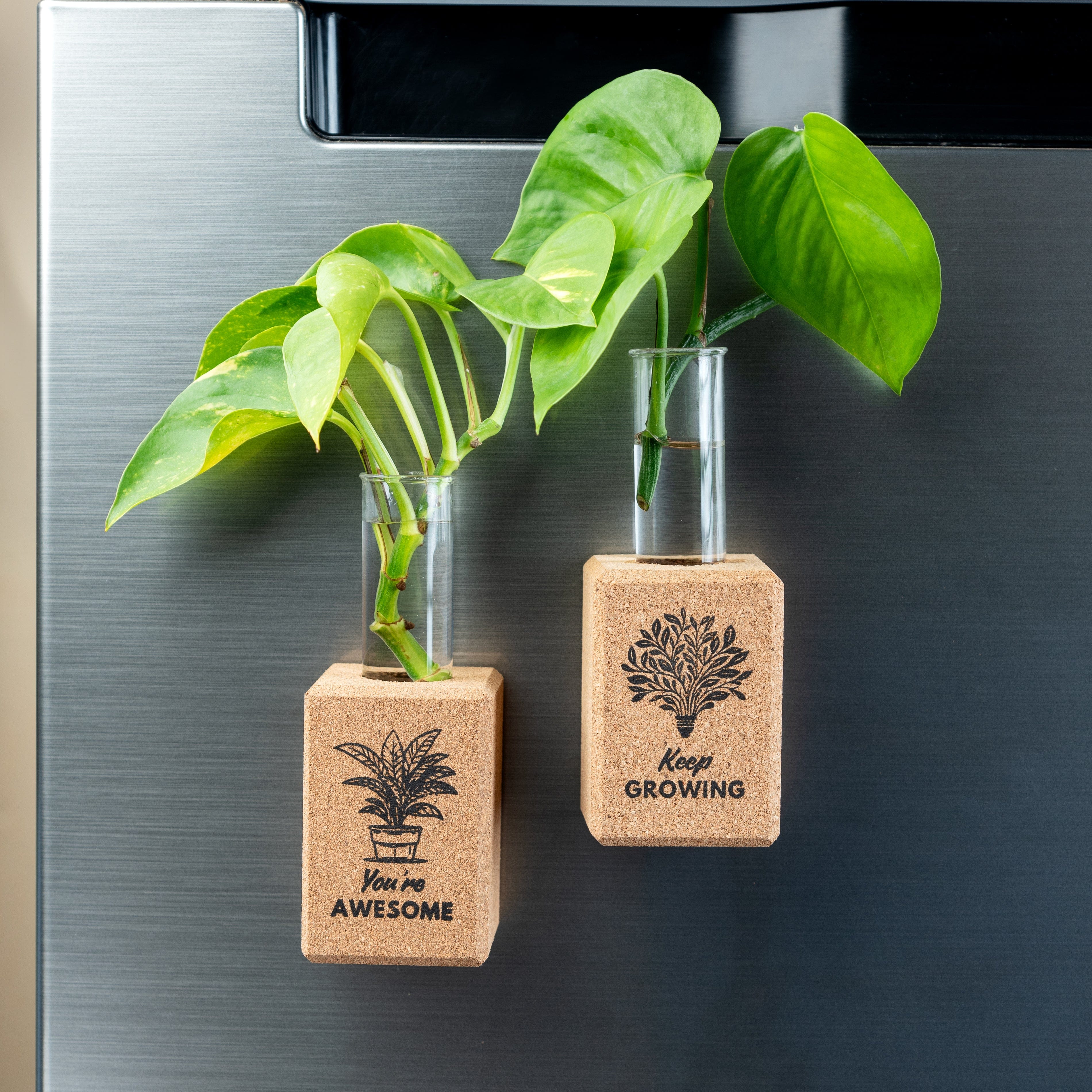 Vases 'Positive Affirmations' Magnetic Planters/Vases (Cork) artmansha