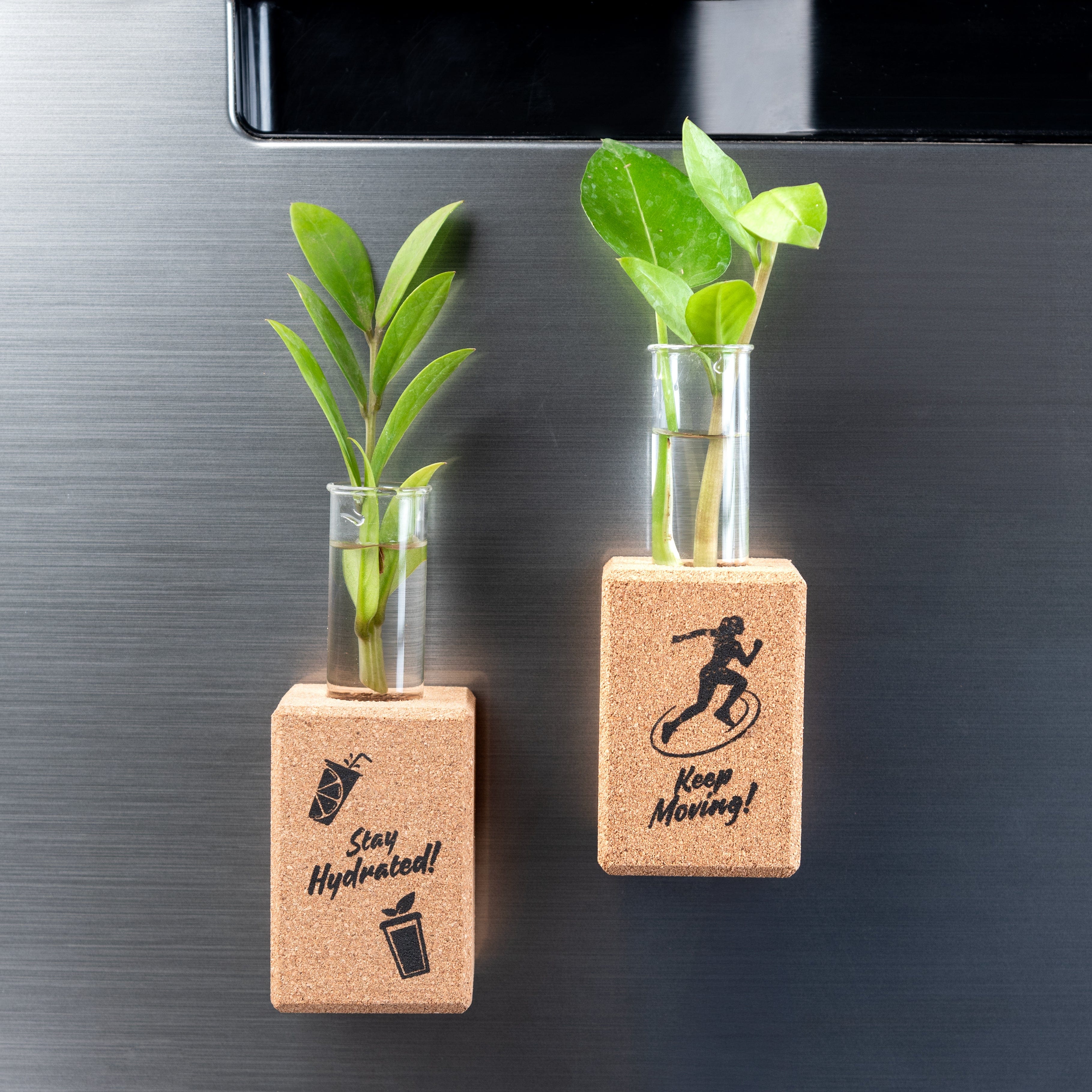 Vases 'Stay Fit' Magnetic Fridge Planters/Vase (Cork) artmansha
